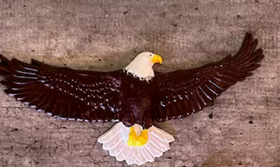 Hawks