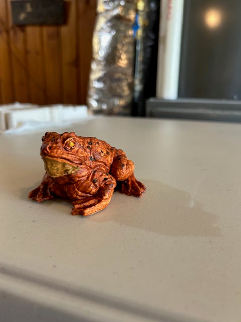 horney Toad