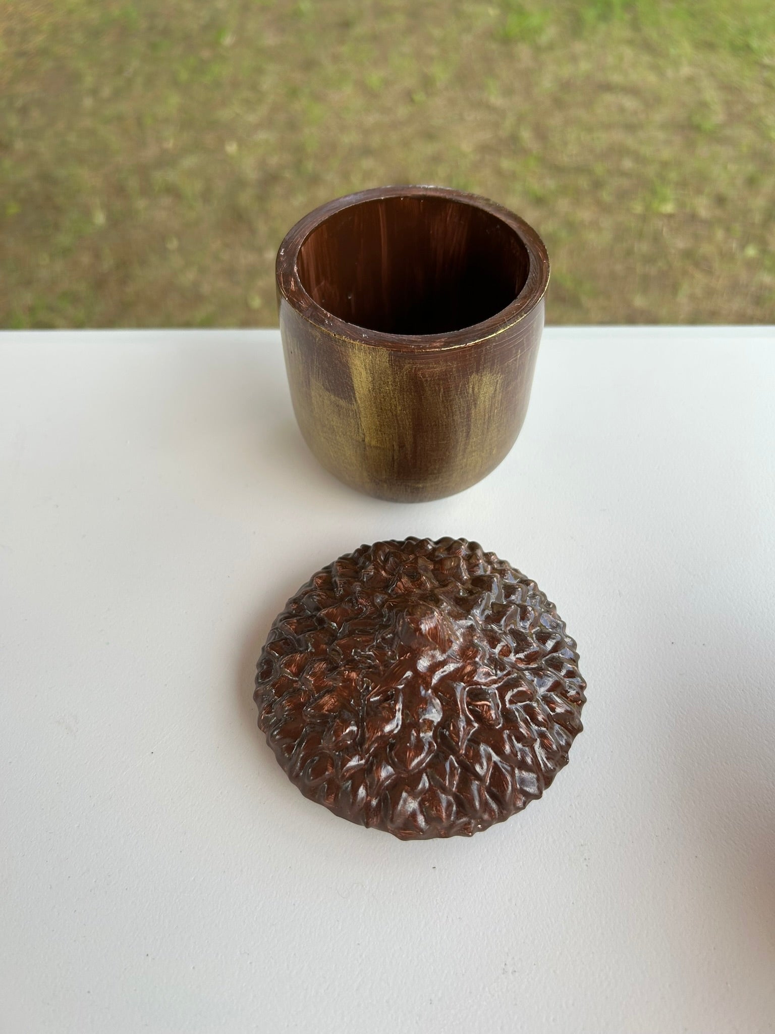 Acorn
