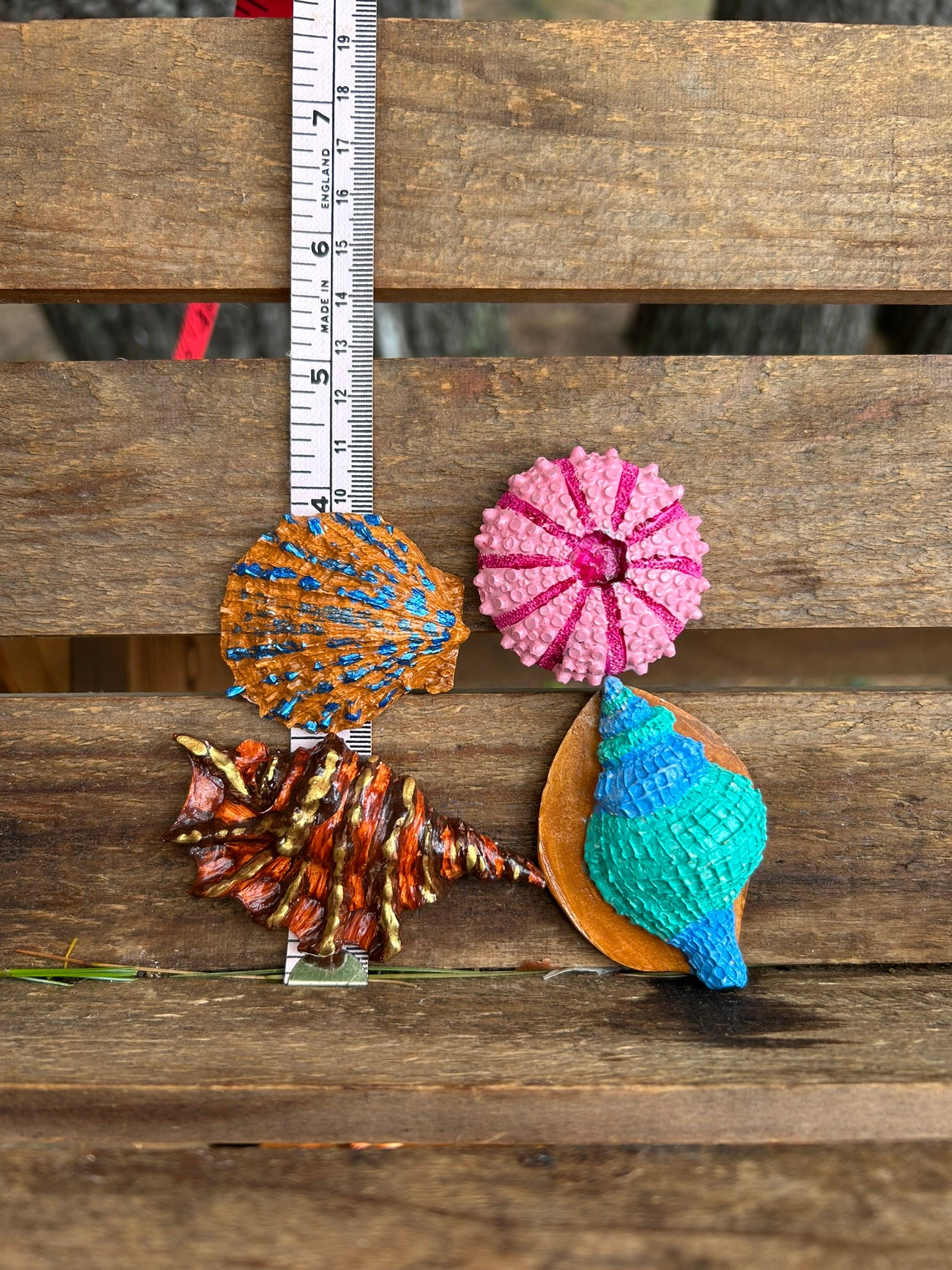 Shells Set Of 4