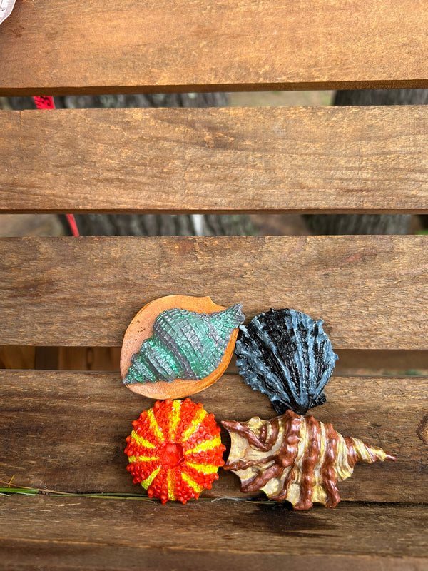 Shells Set Of 4