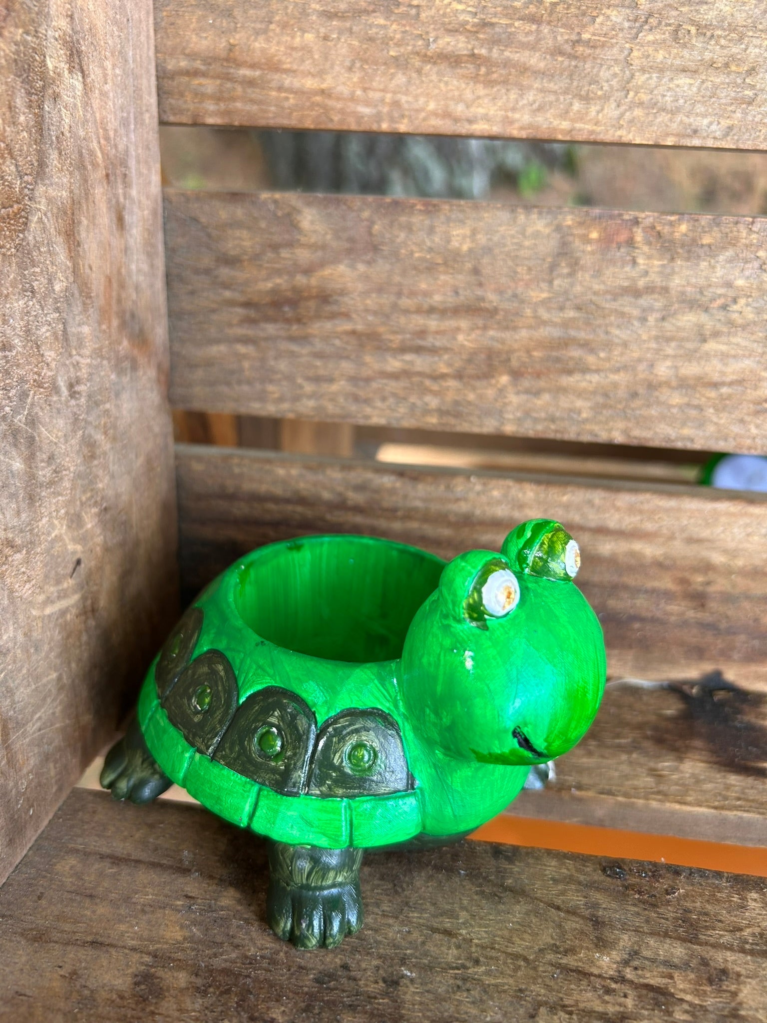 Turtle