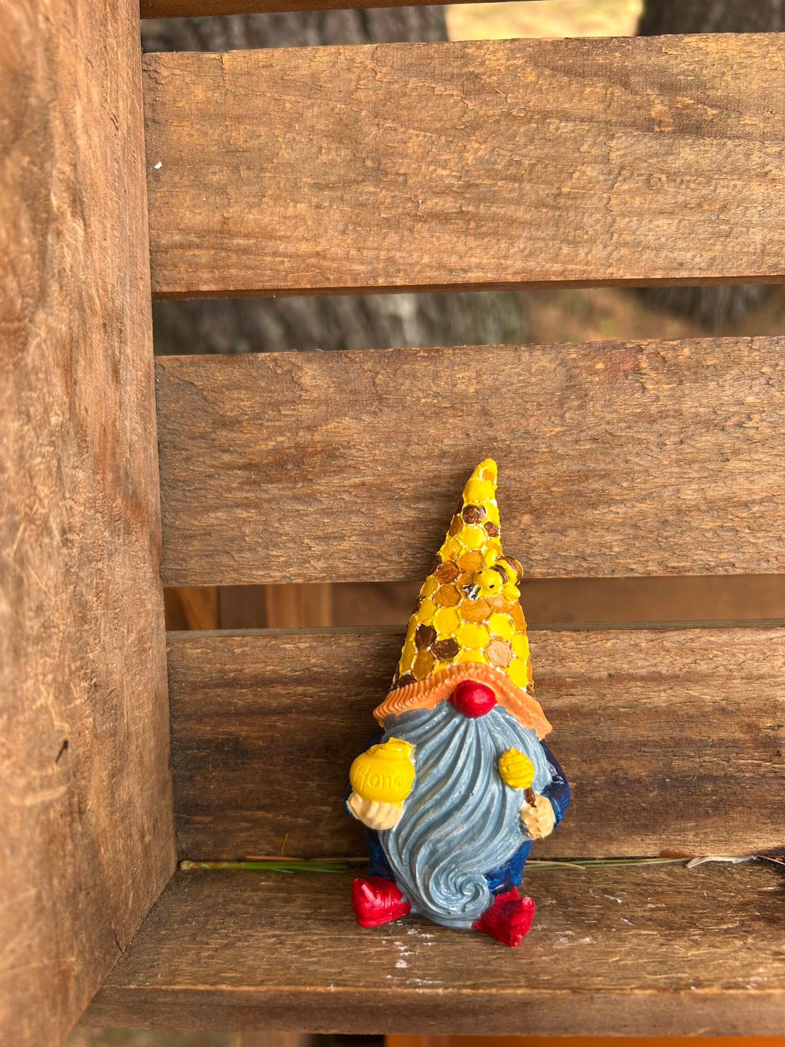 Gnomes