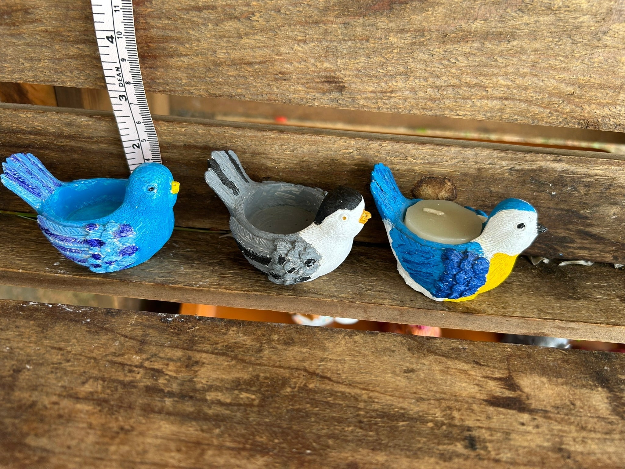 SM Bird