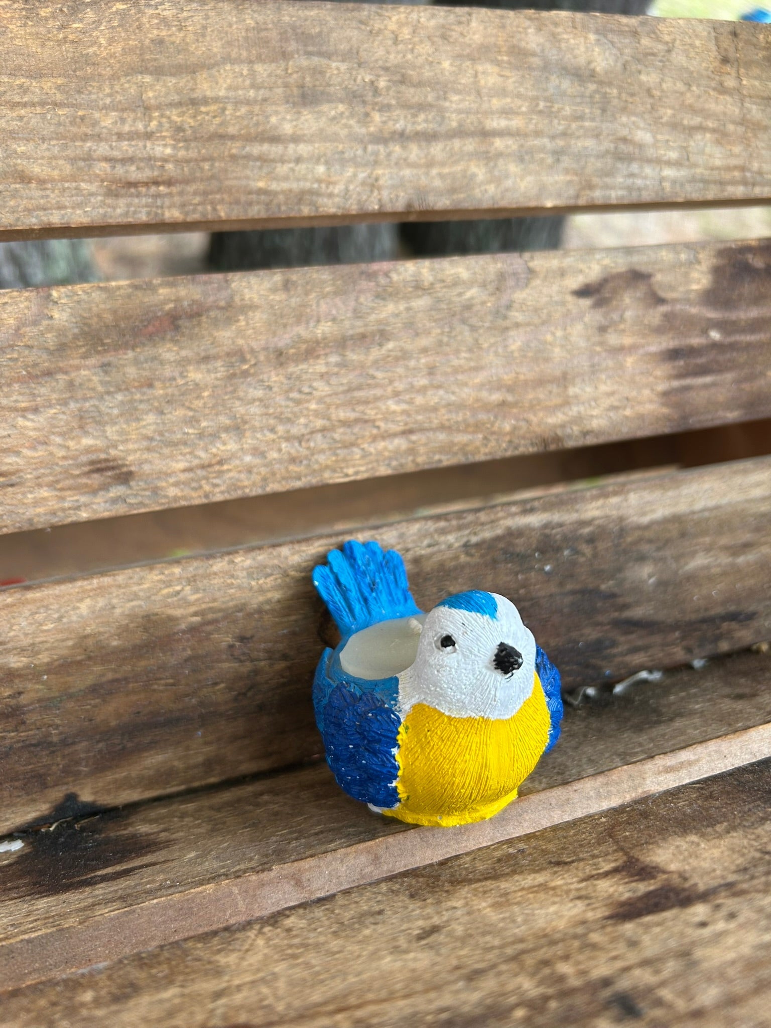 SM Bird