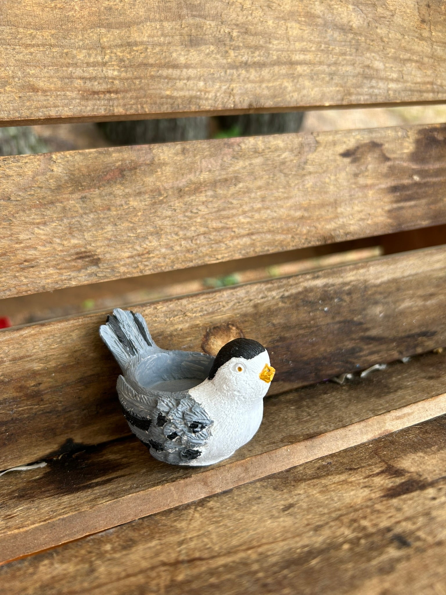 SM Bird