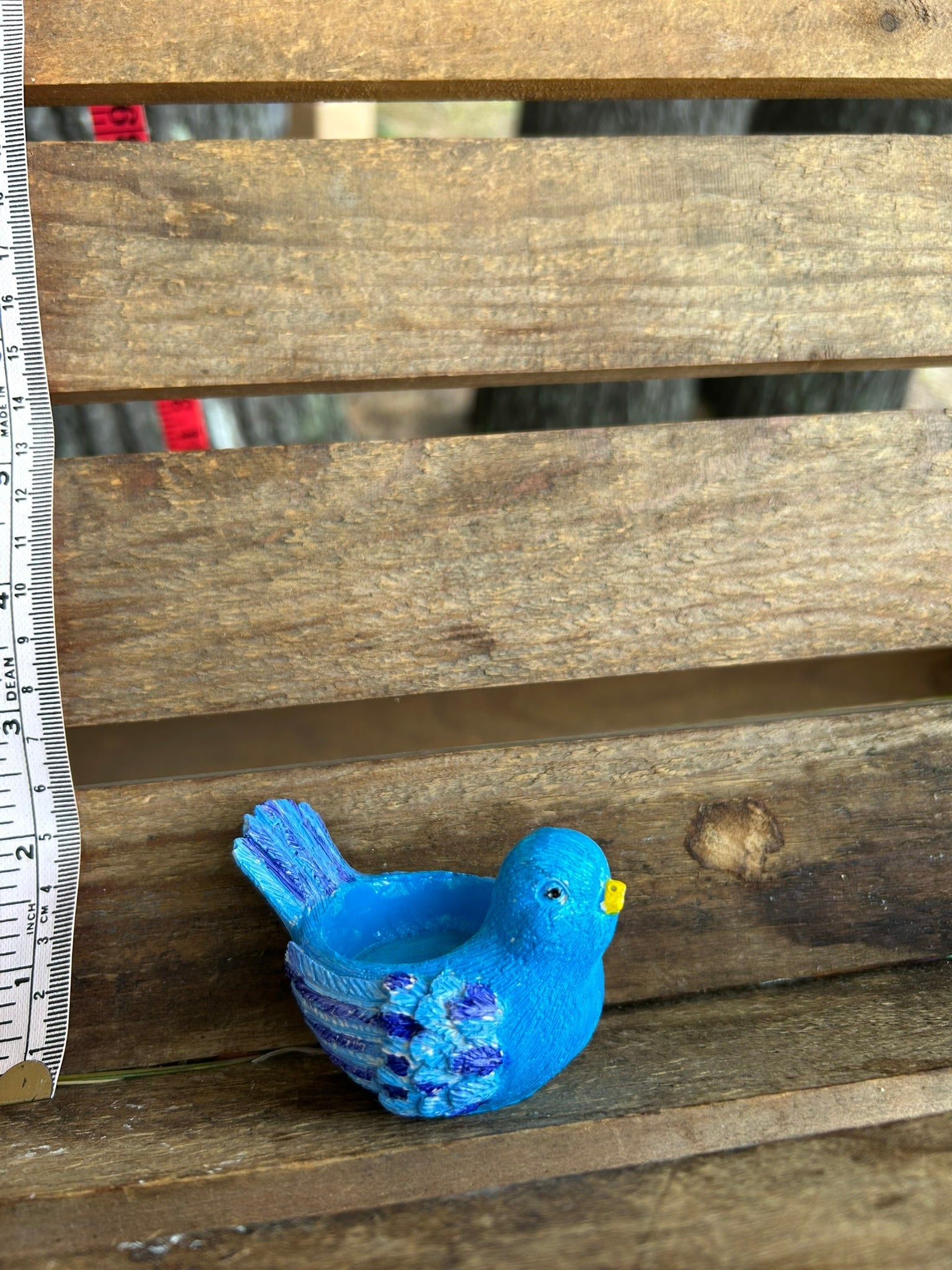 SM Bird