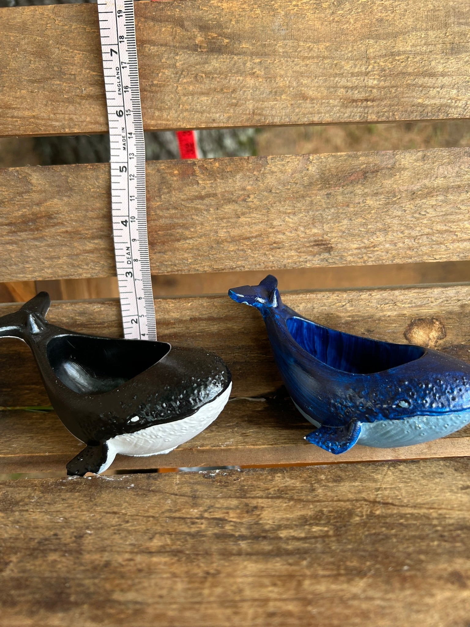 Whales