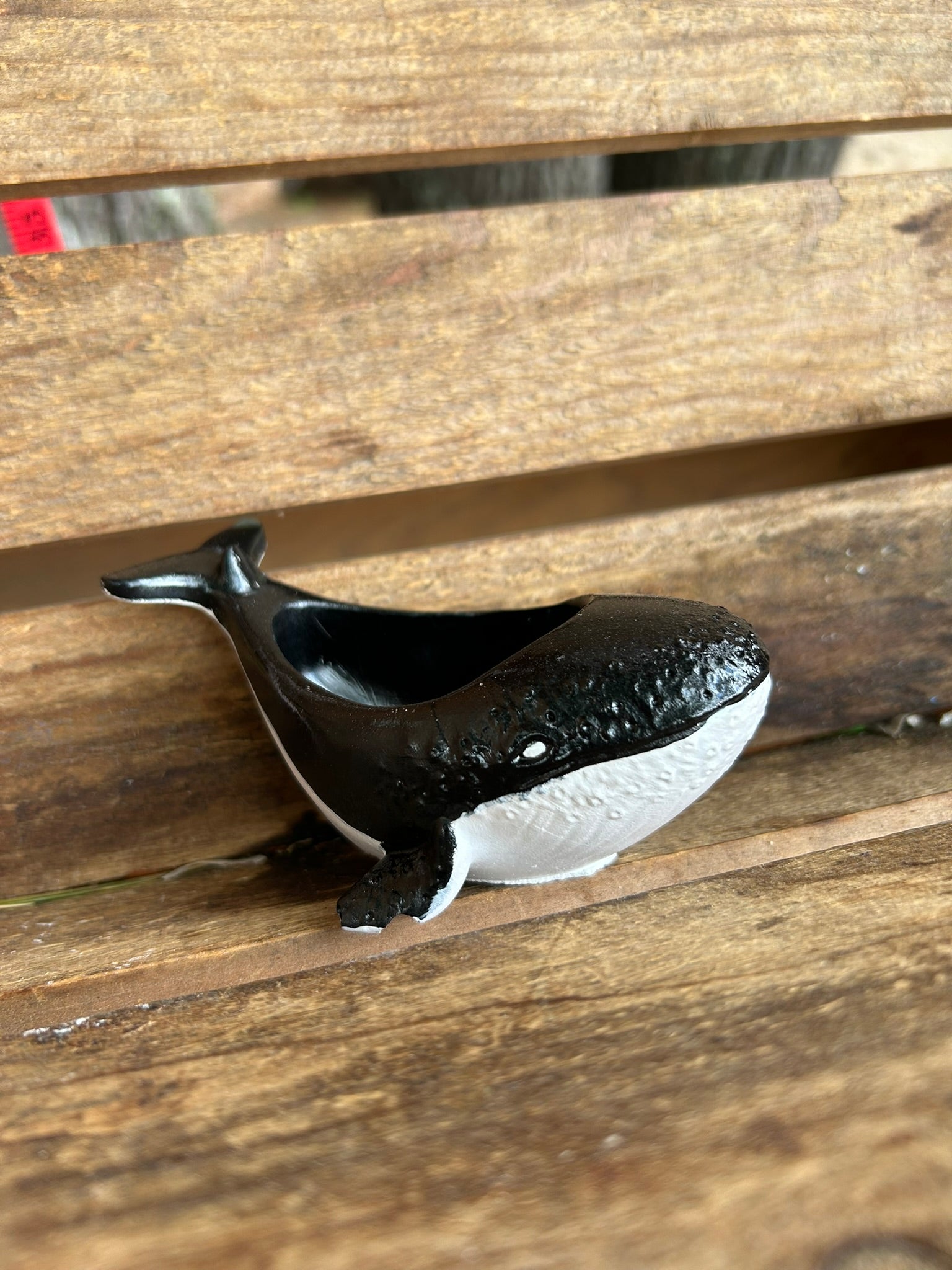 Whales
