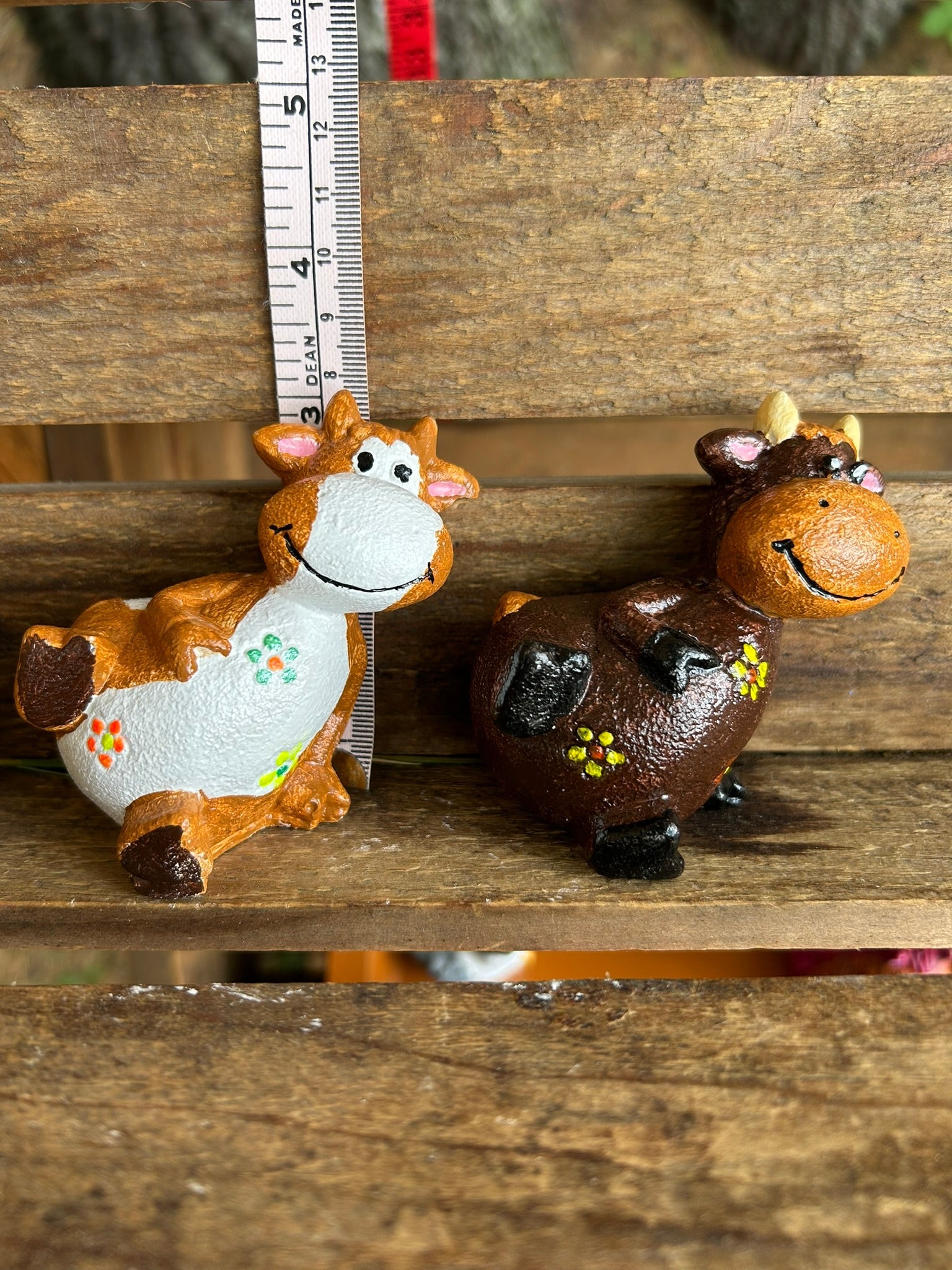 Lounging Cow