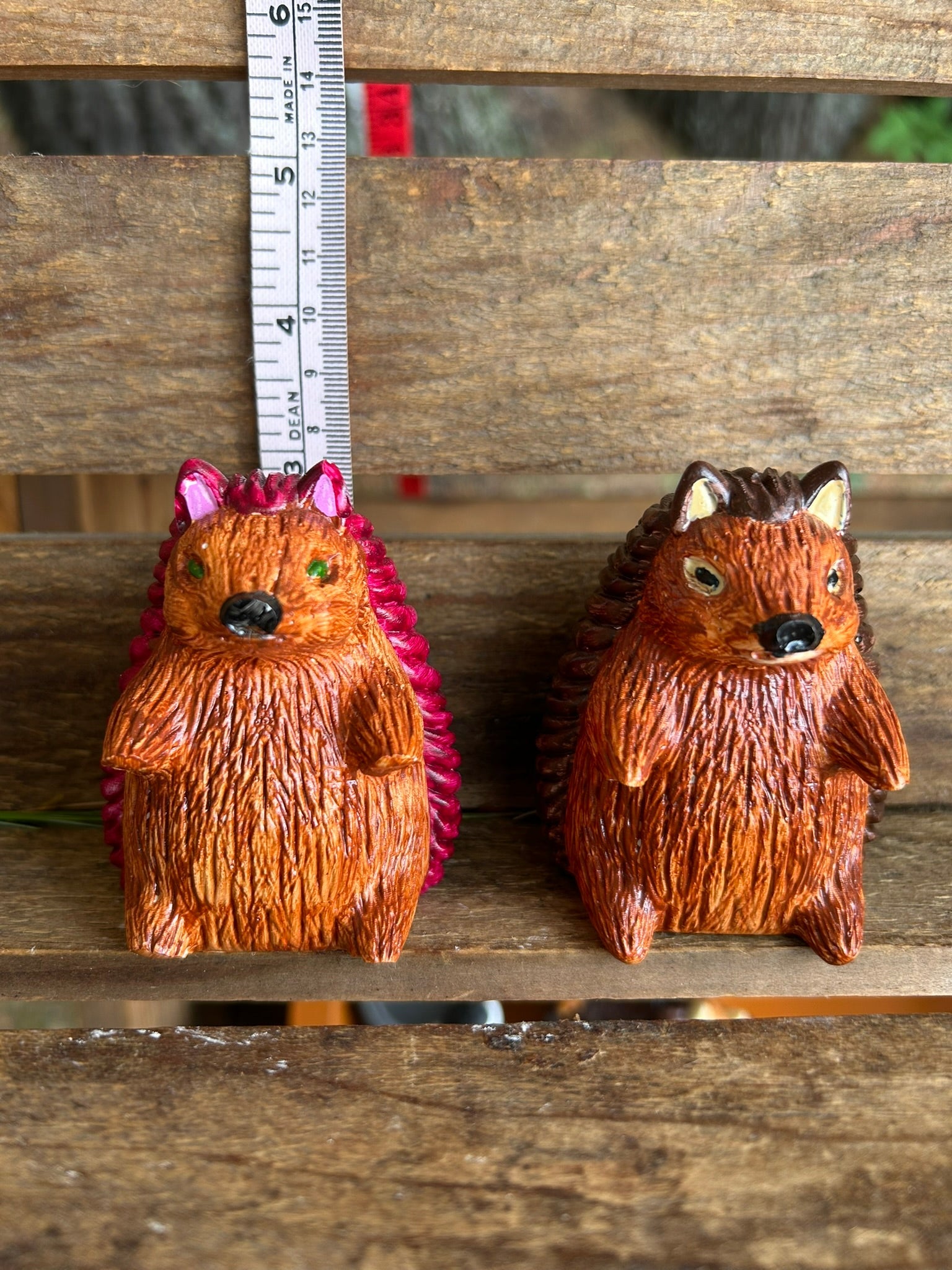 Hedge hog
