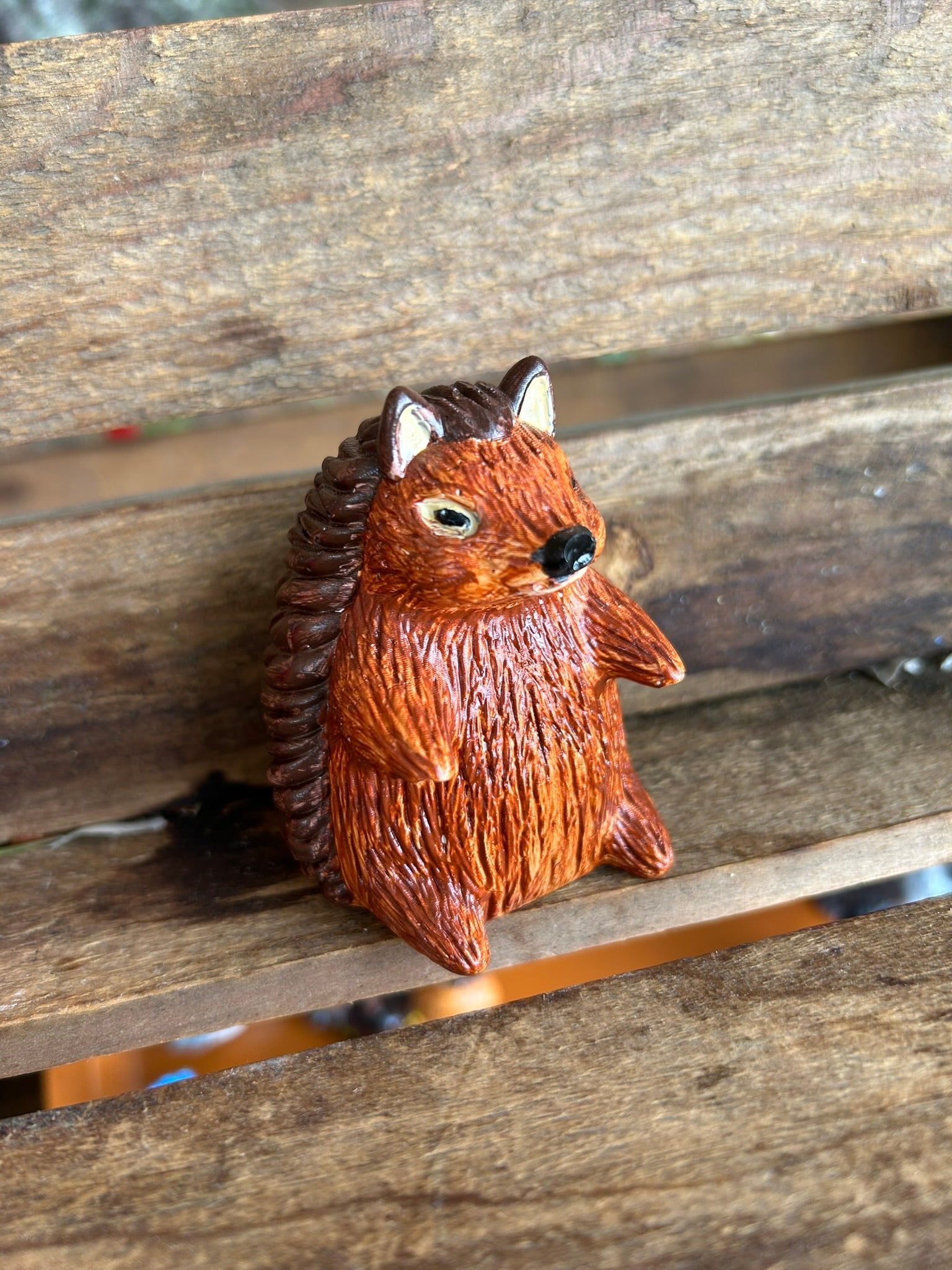 Hedge hog