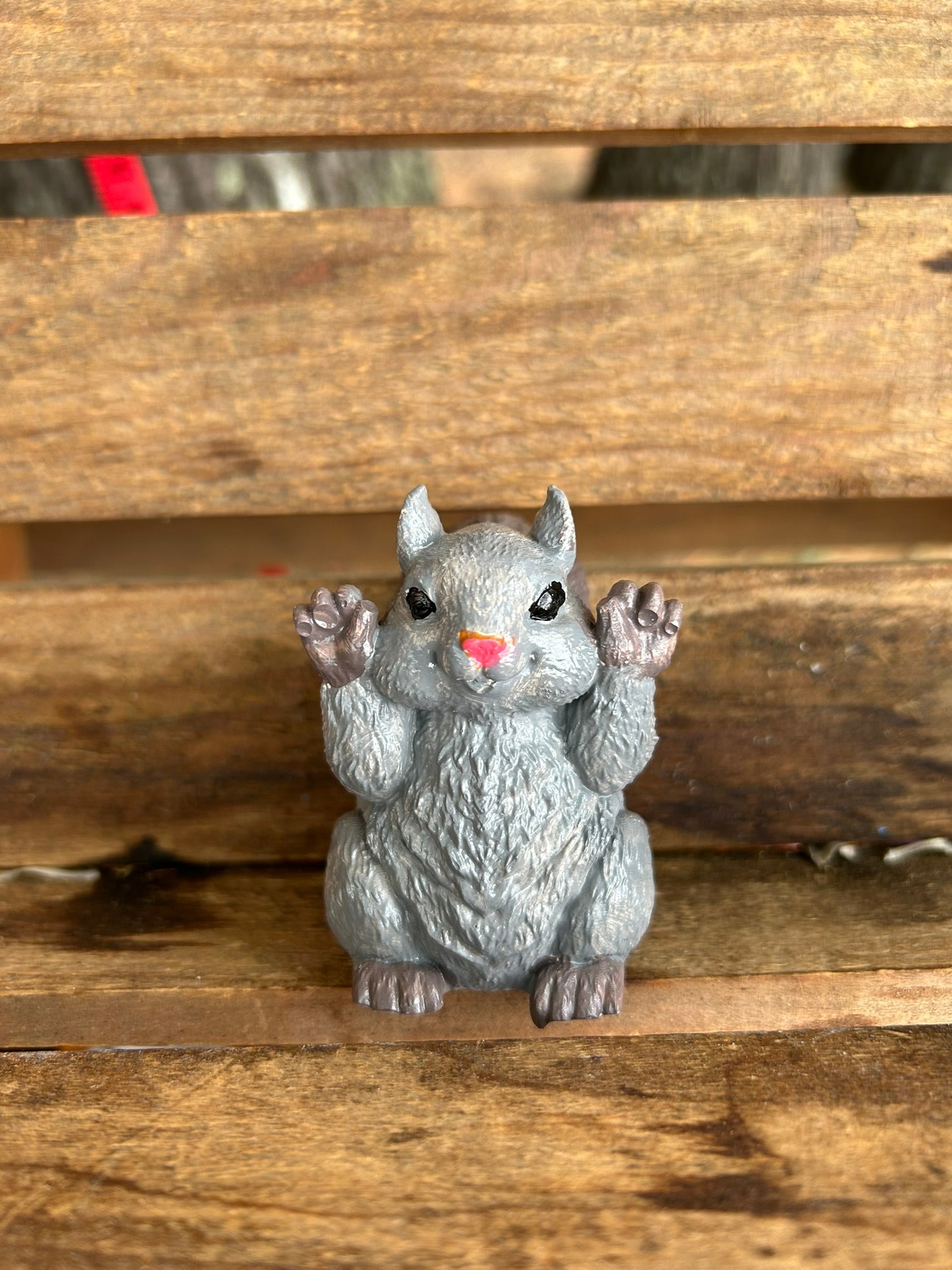 Squirrel
