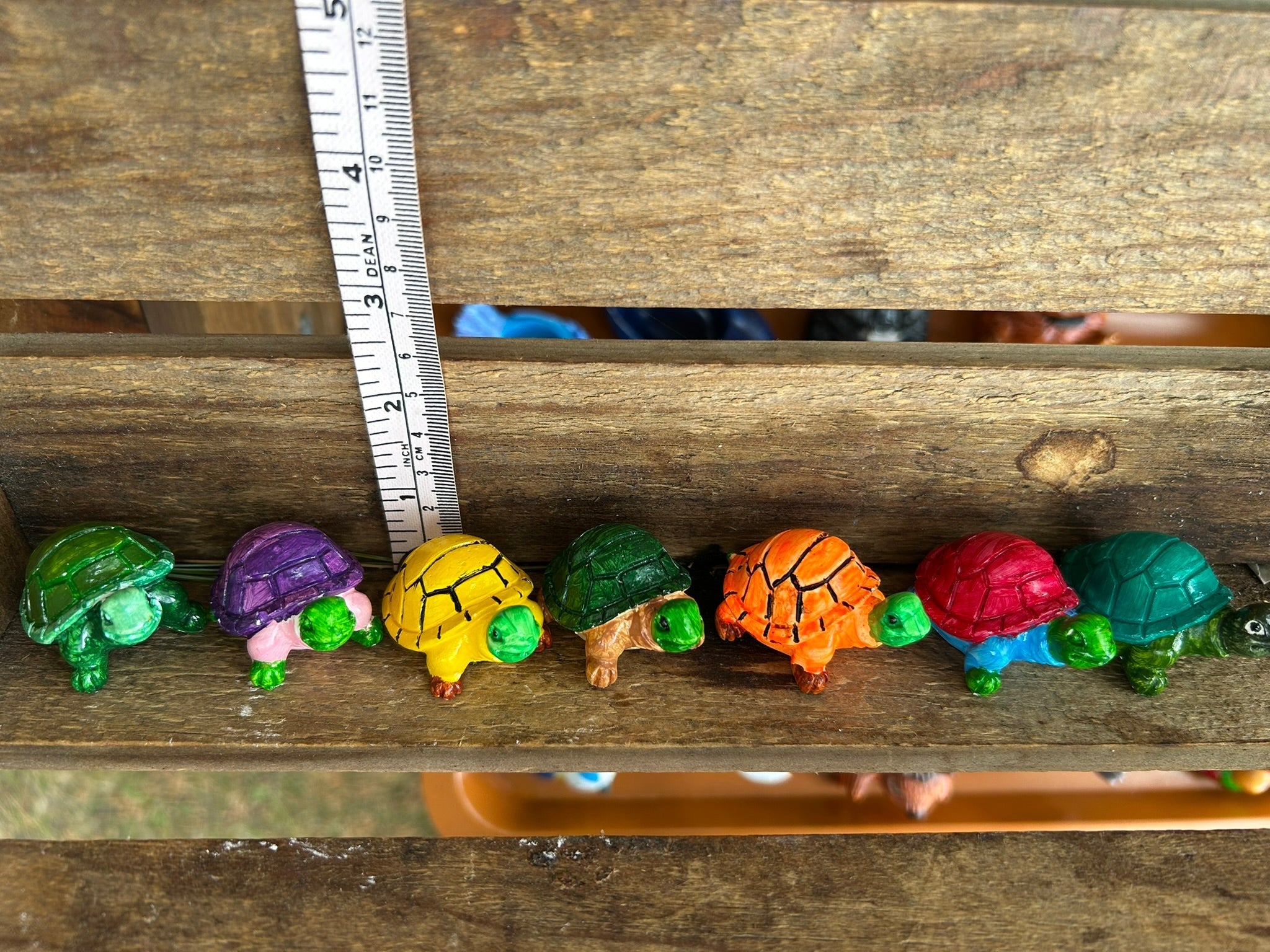 Turtle