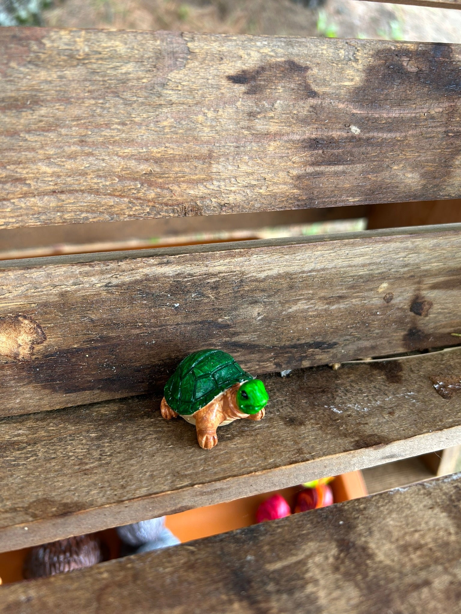Turtle