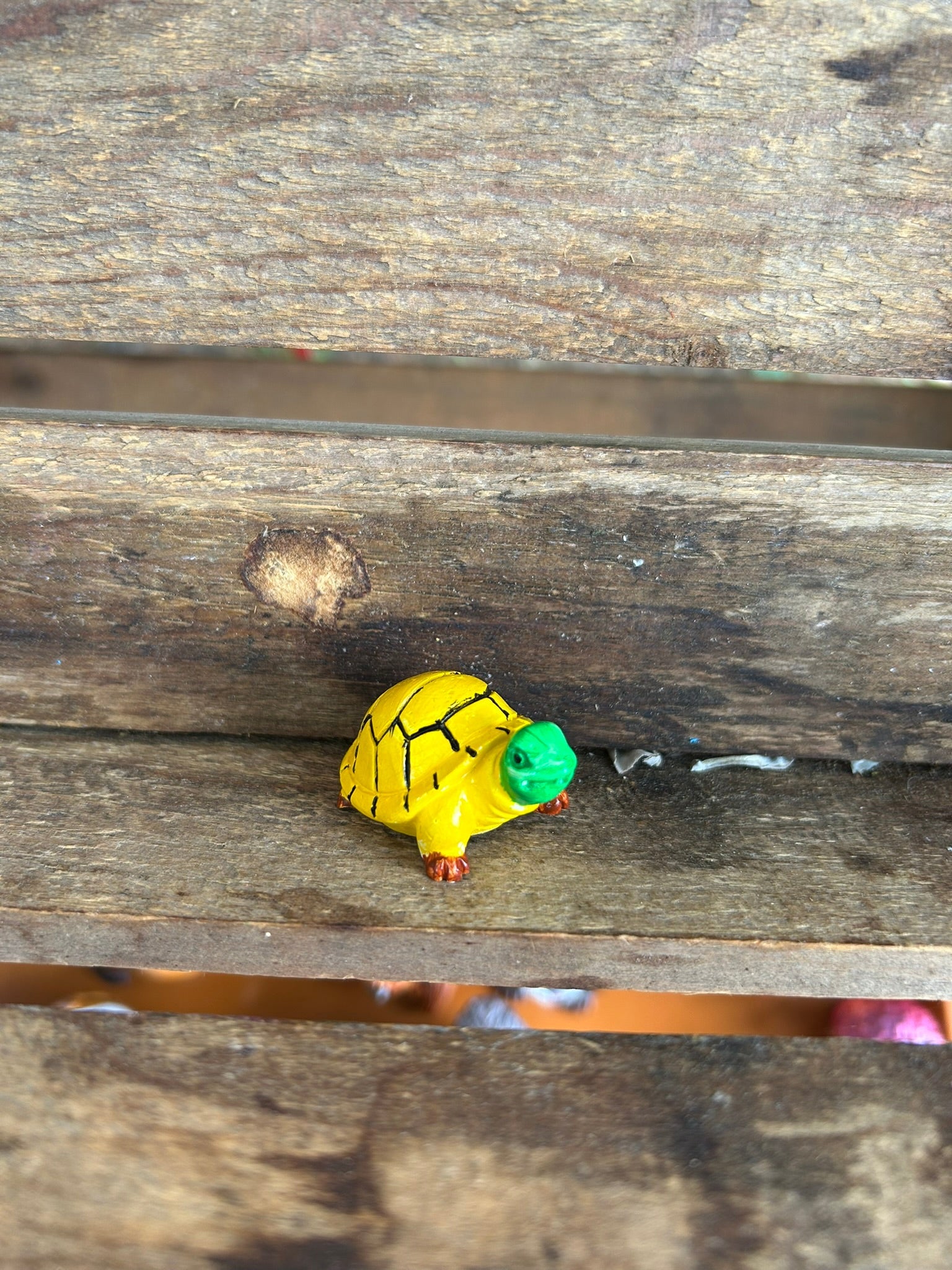 Turtle