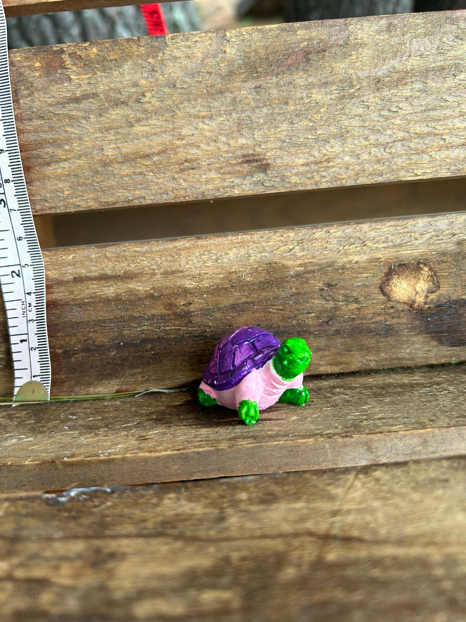 Turtle