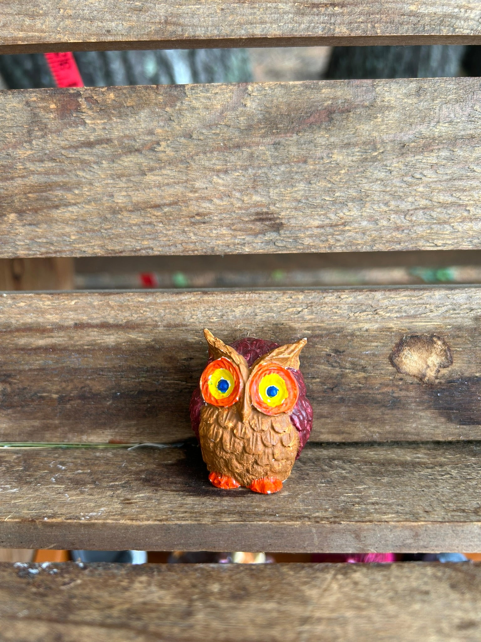 small colorful owls