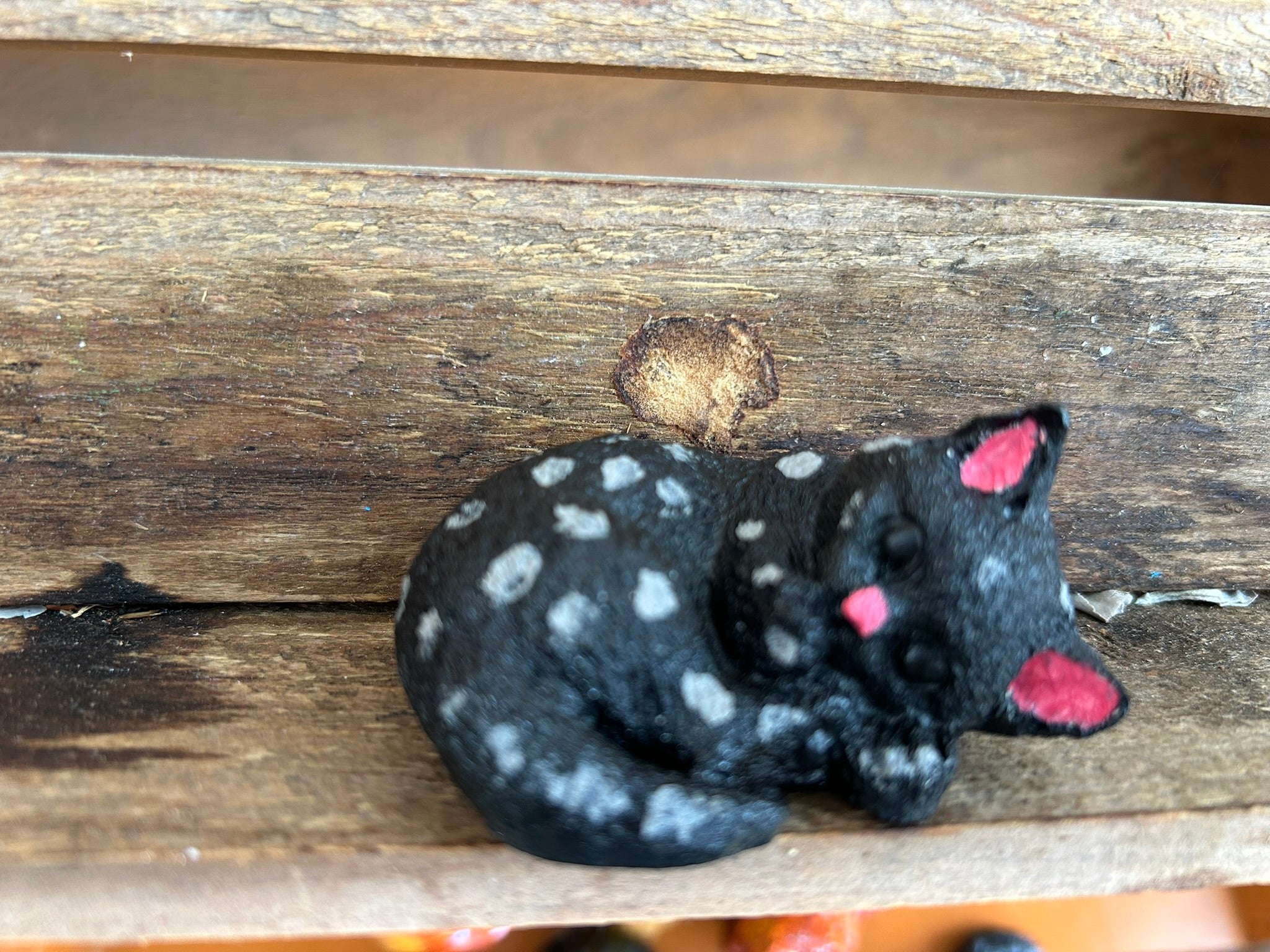 Small Sleeping Cat