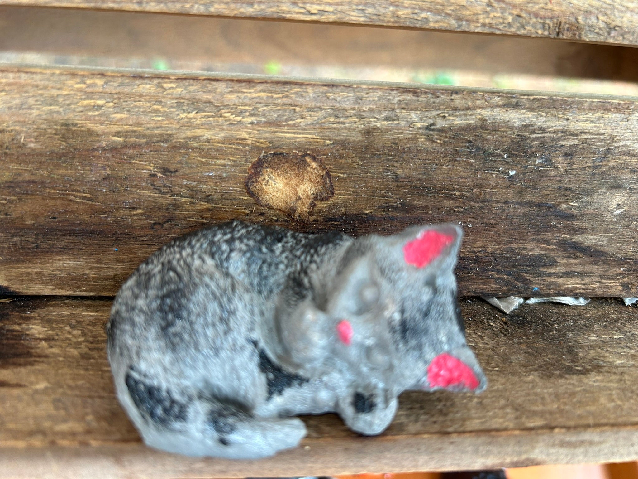 Small Sleeping Cat