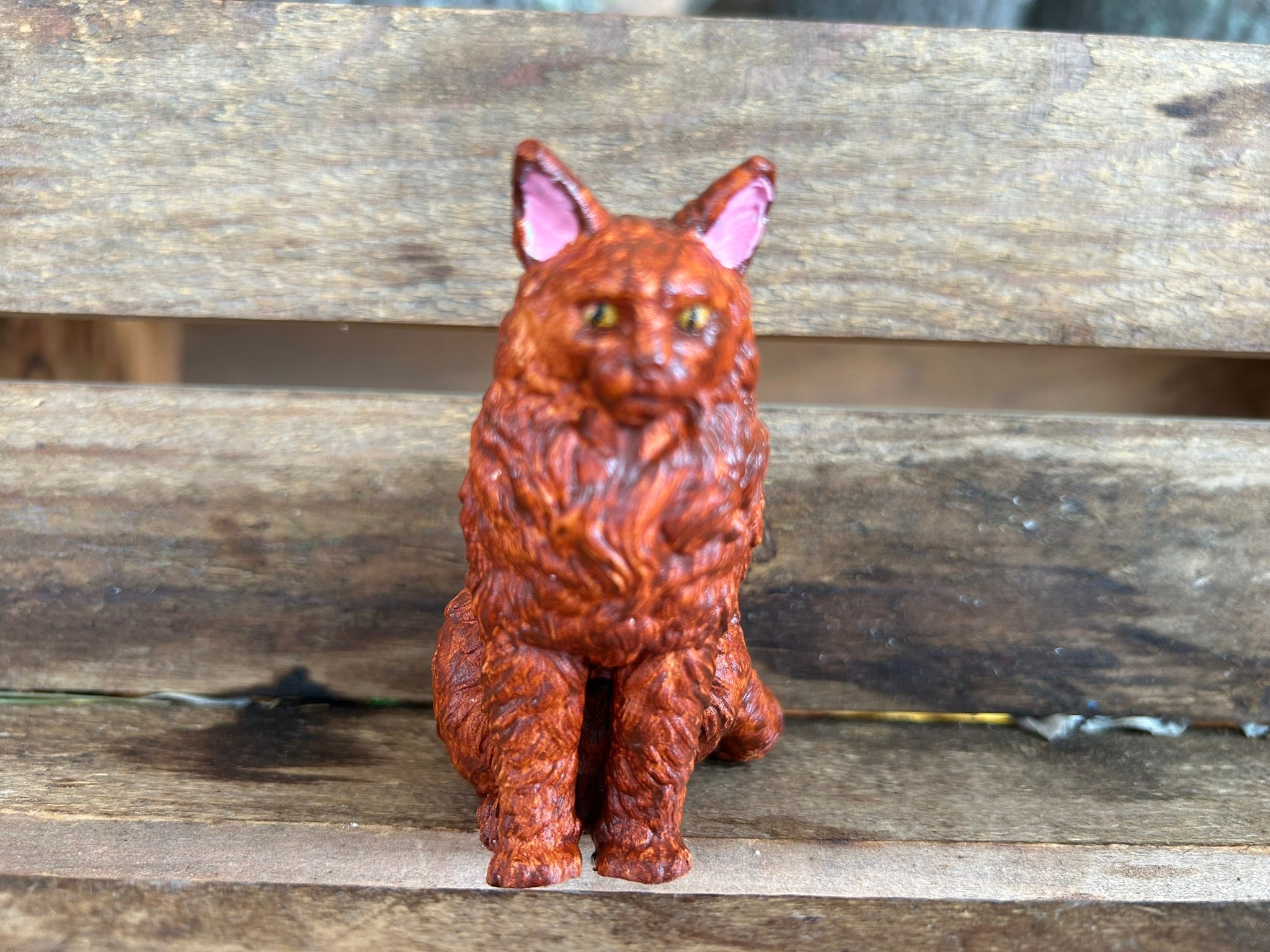 Sitting up cat