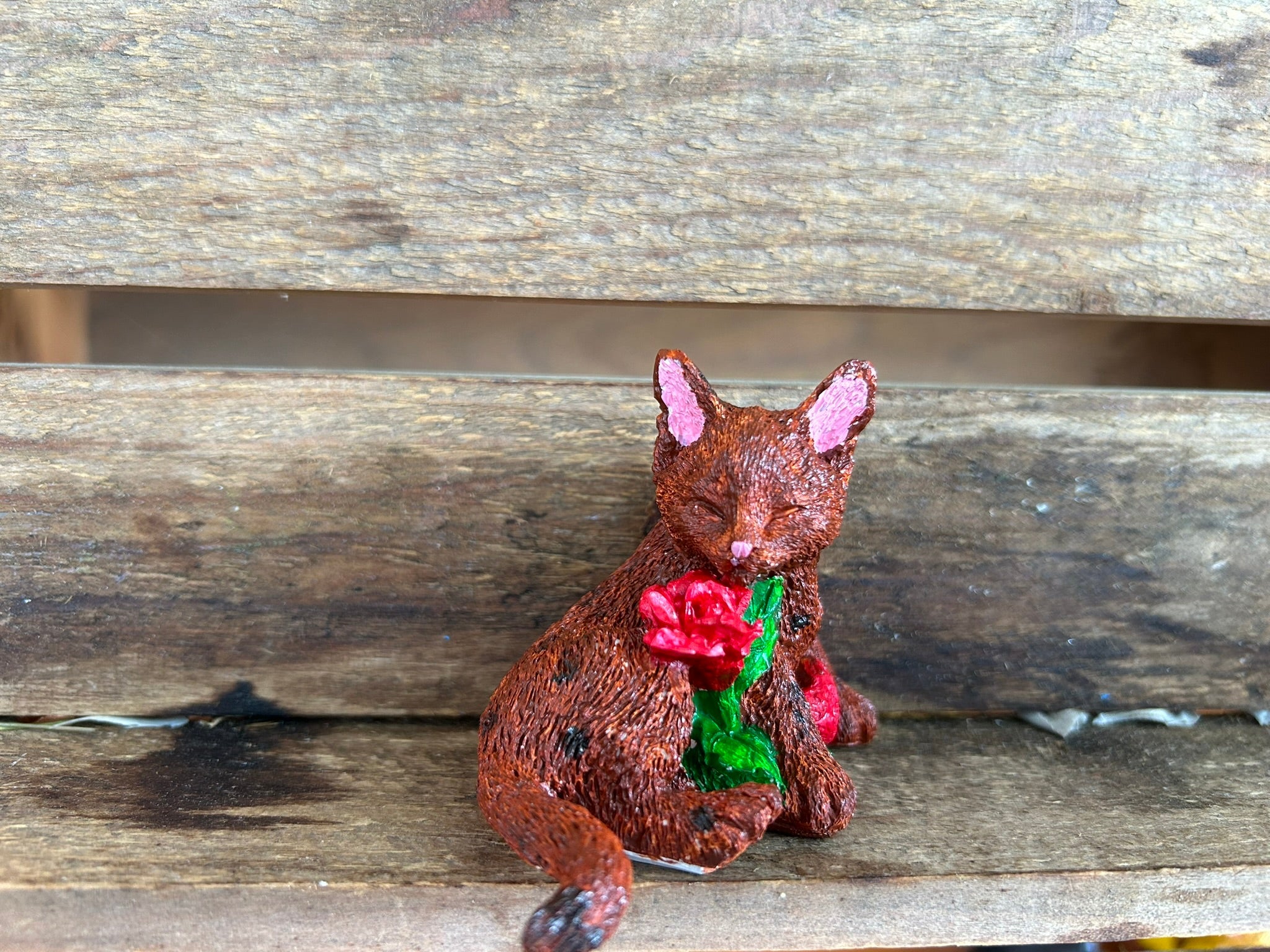 Small cat with Rose