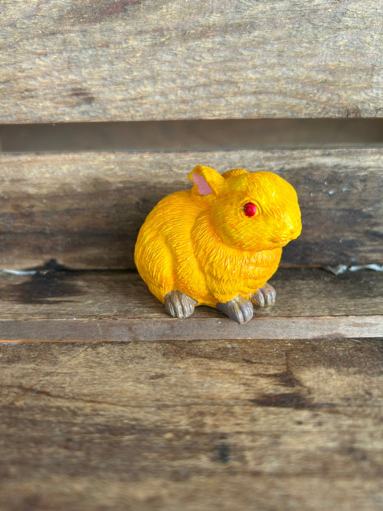 Rabbit