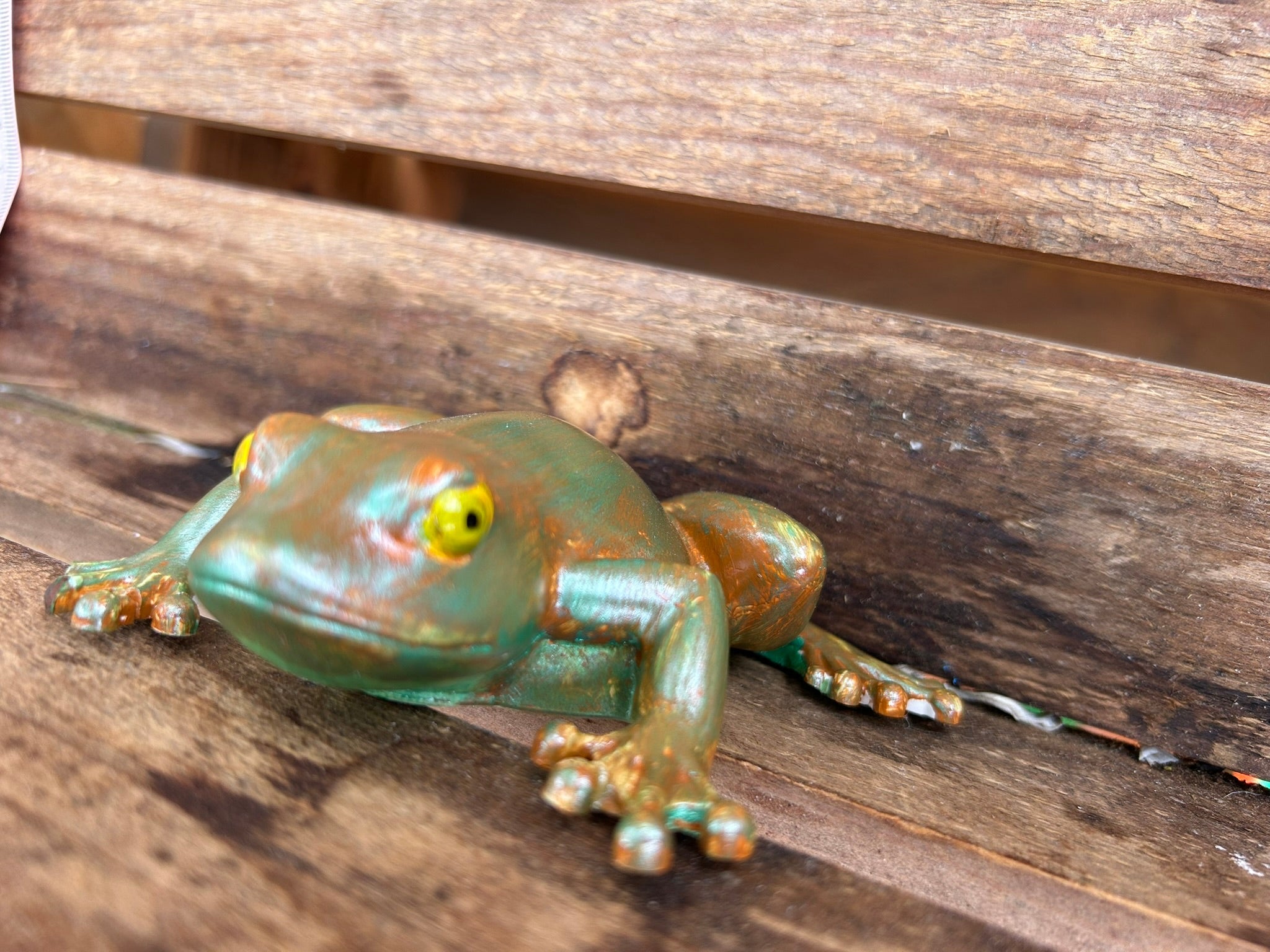 Frog