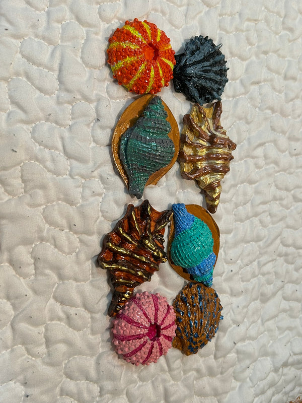 small shells  set of 4