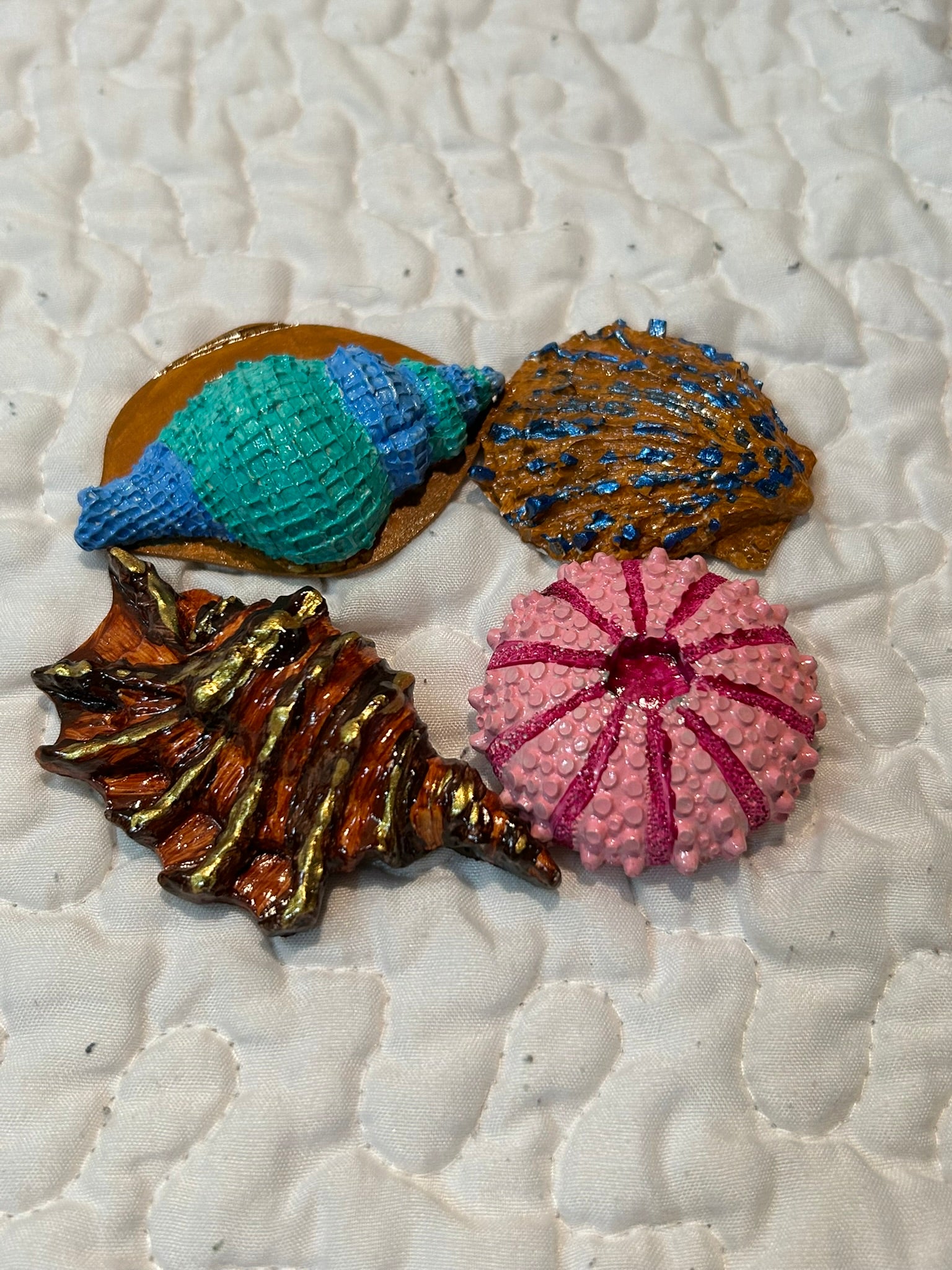 small shells  set of 4