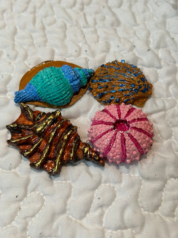 small shells  set of 4
