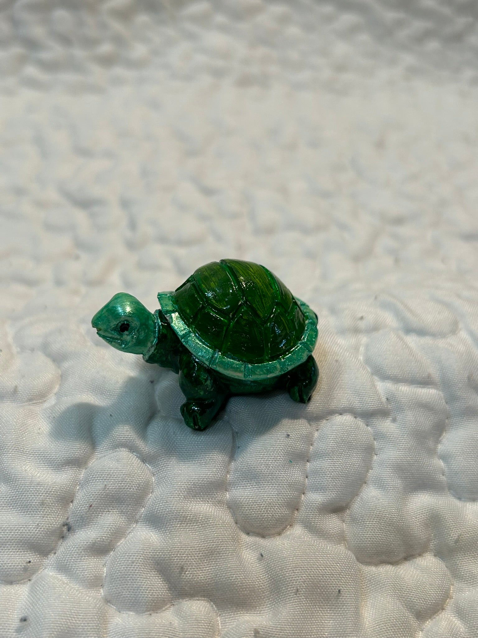 small turtle
