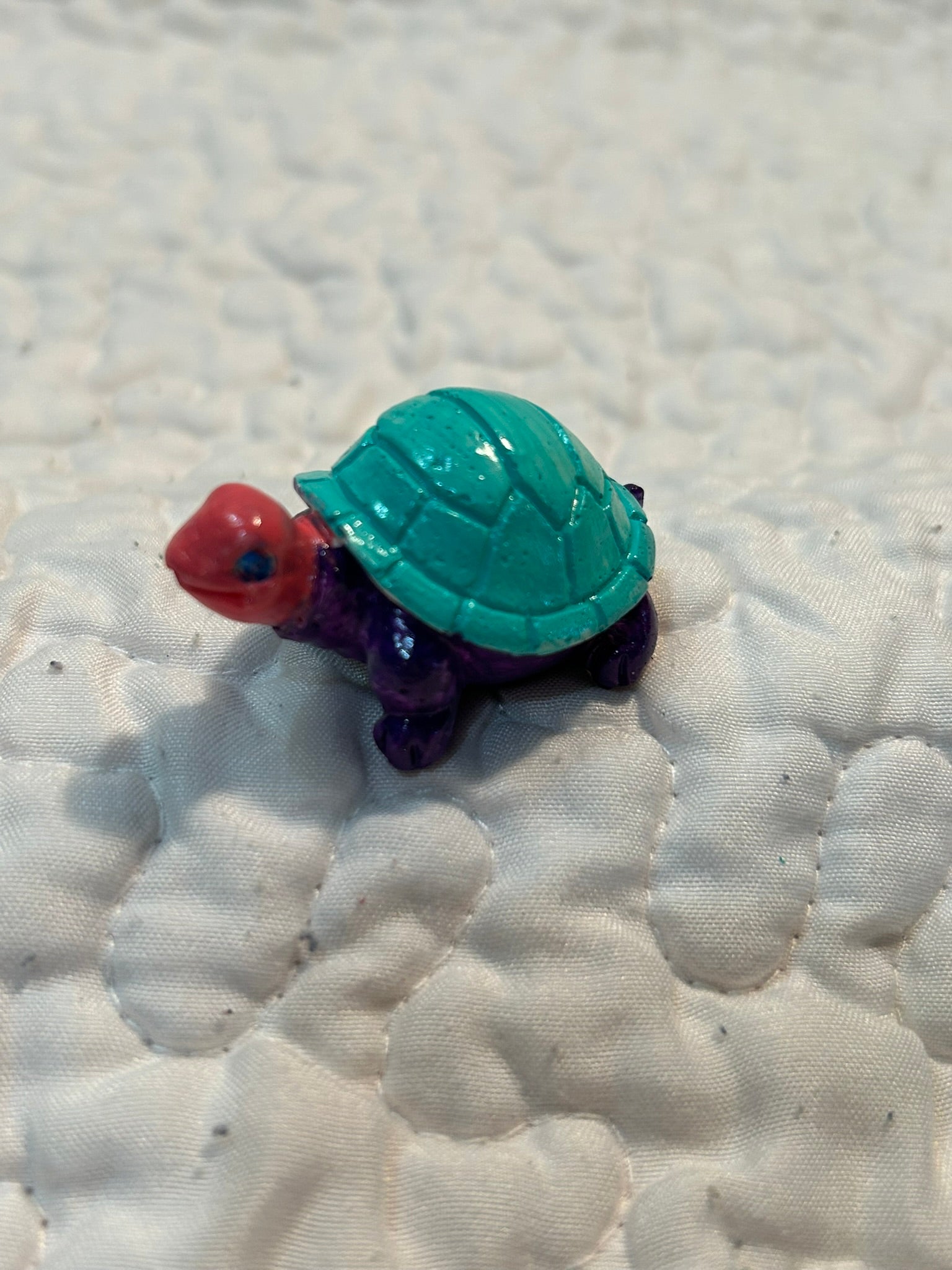 small turtle