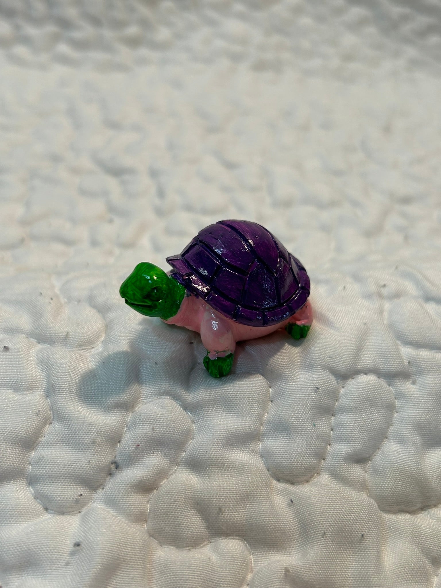 small turtle
