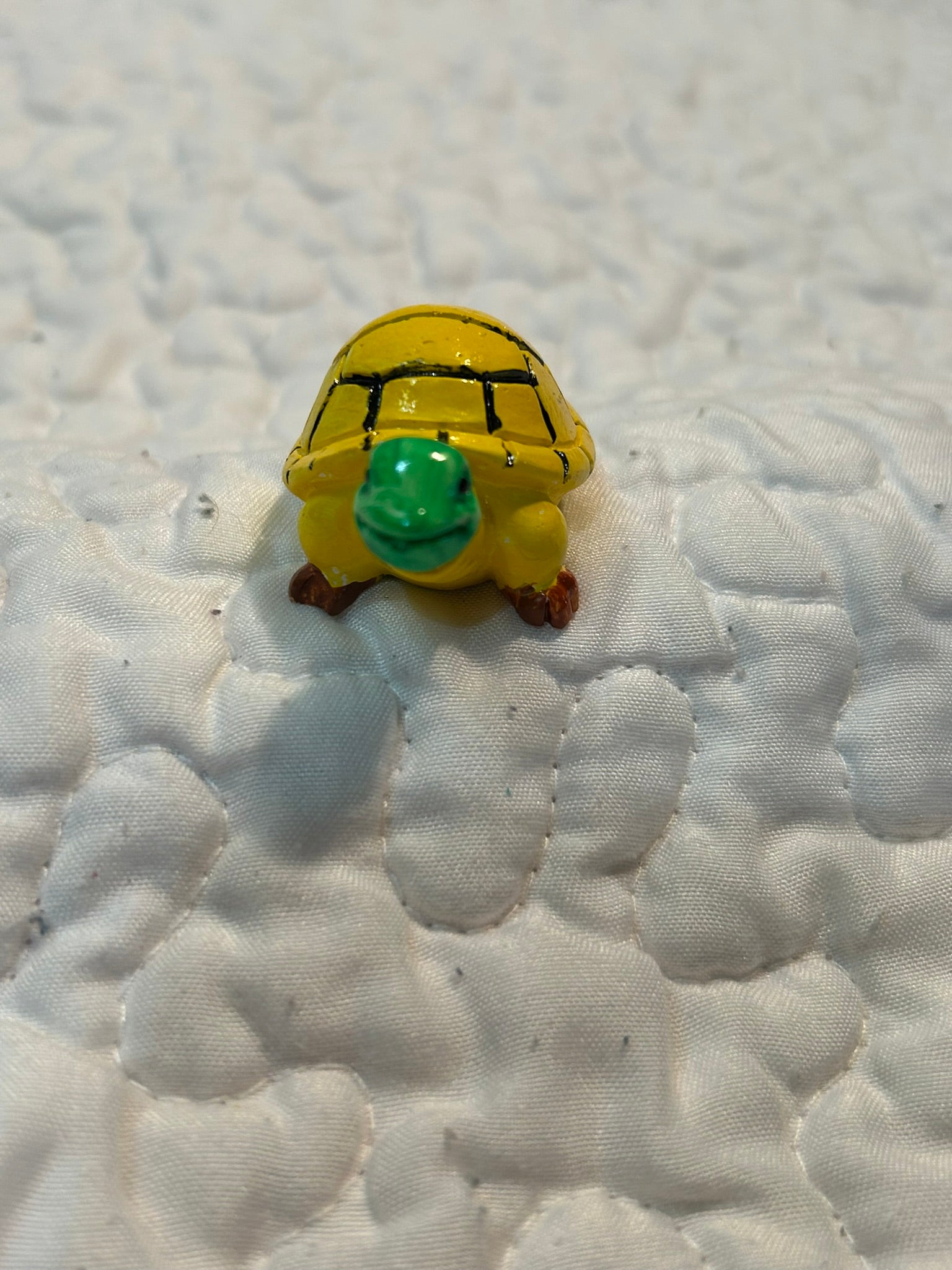 small turtle