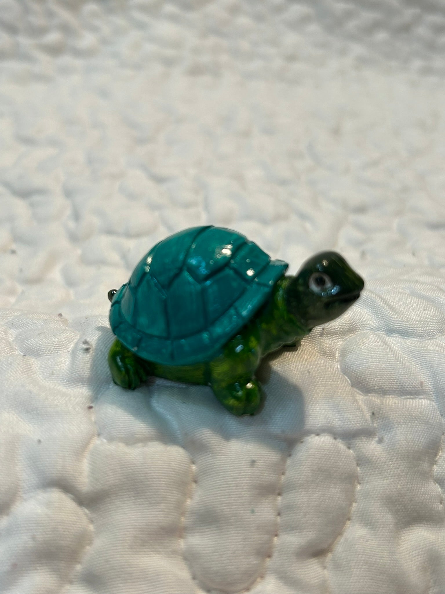 small turtle