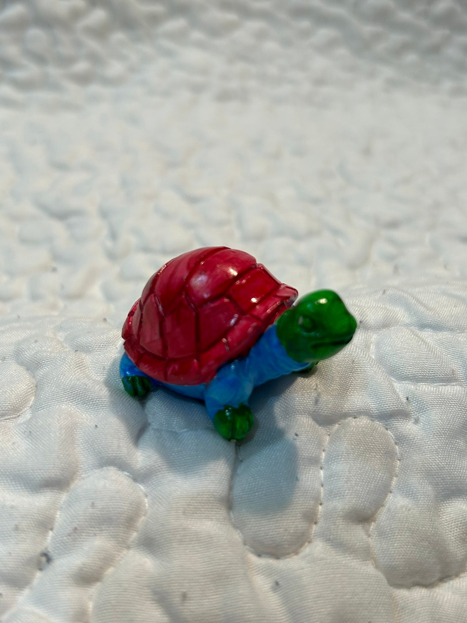 small turtle