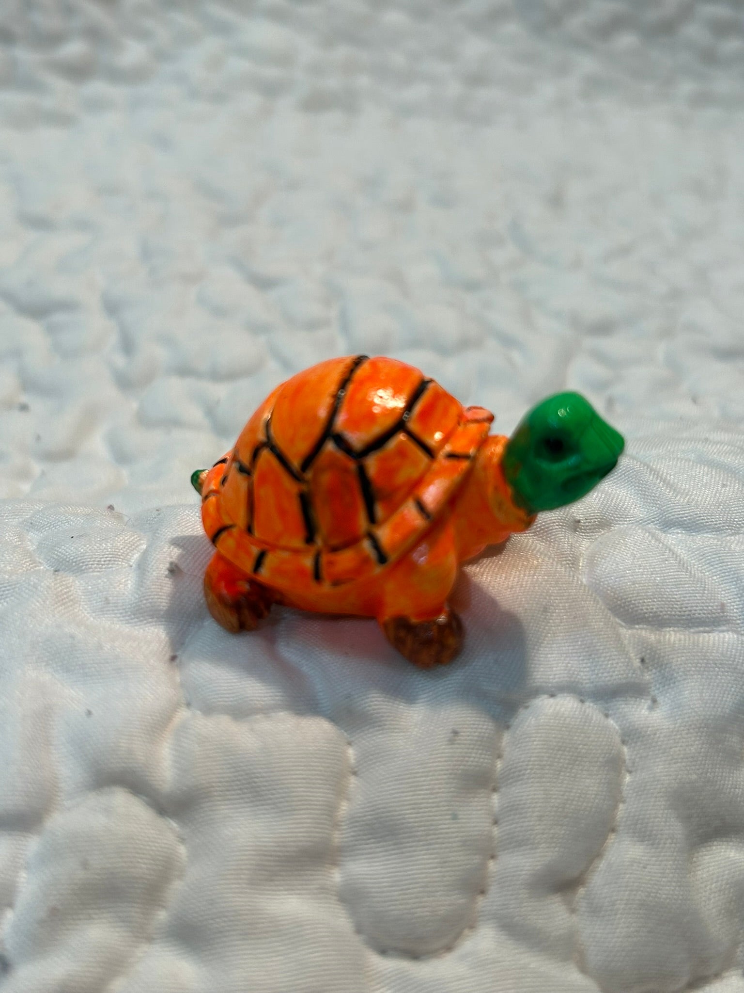 small turtle