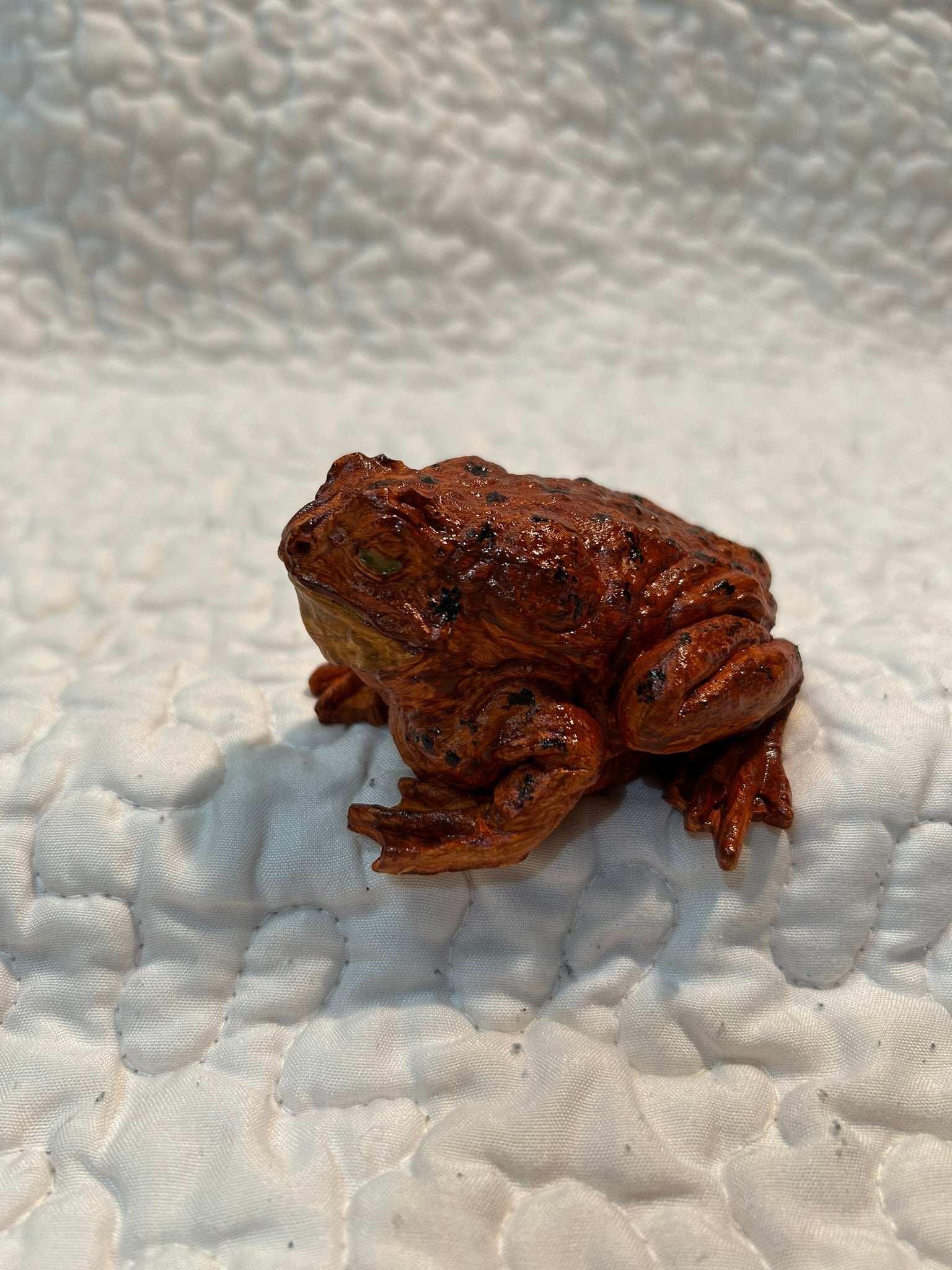 Horney Toad