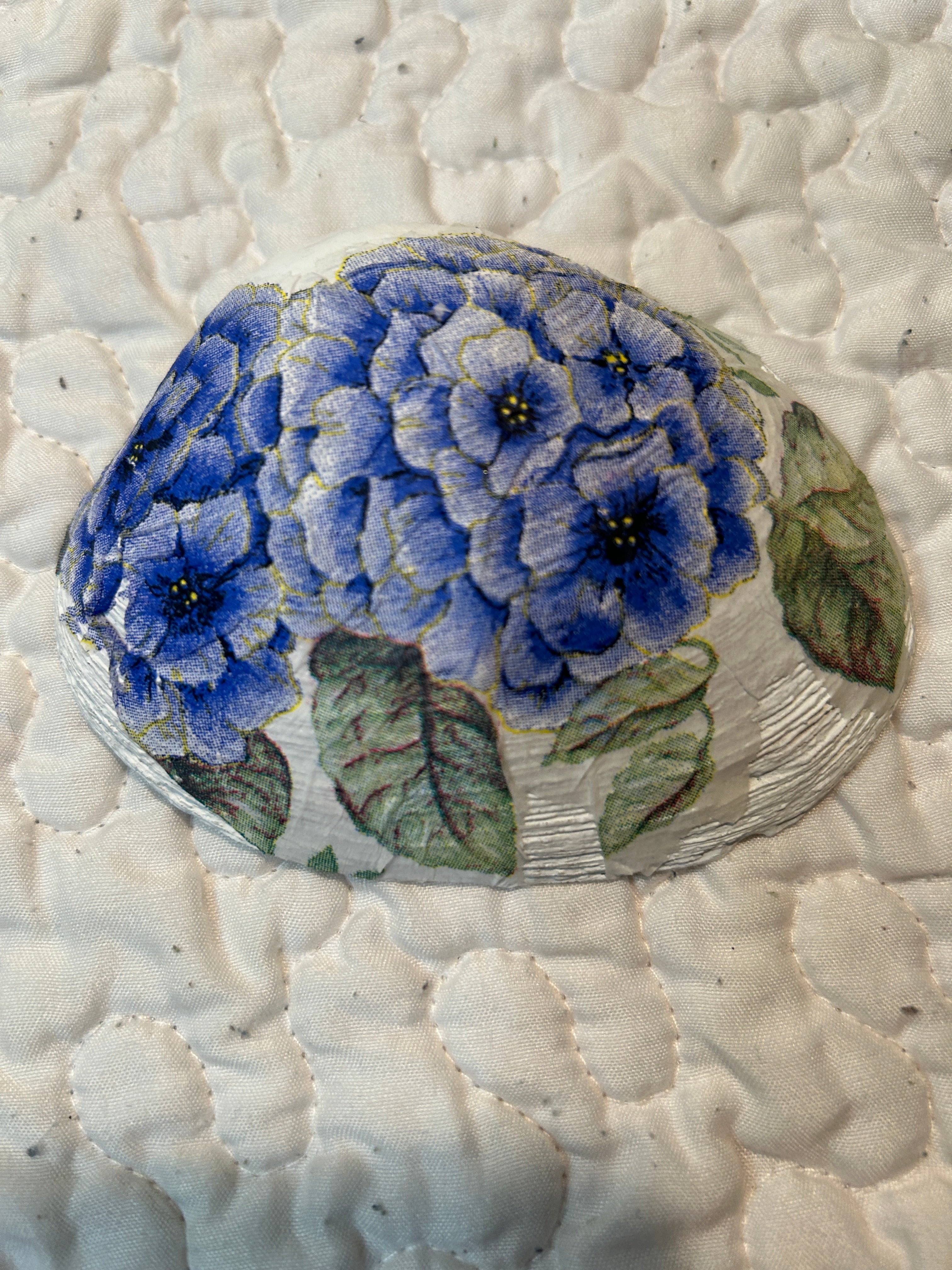 decorative shells