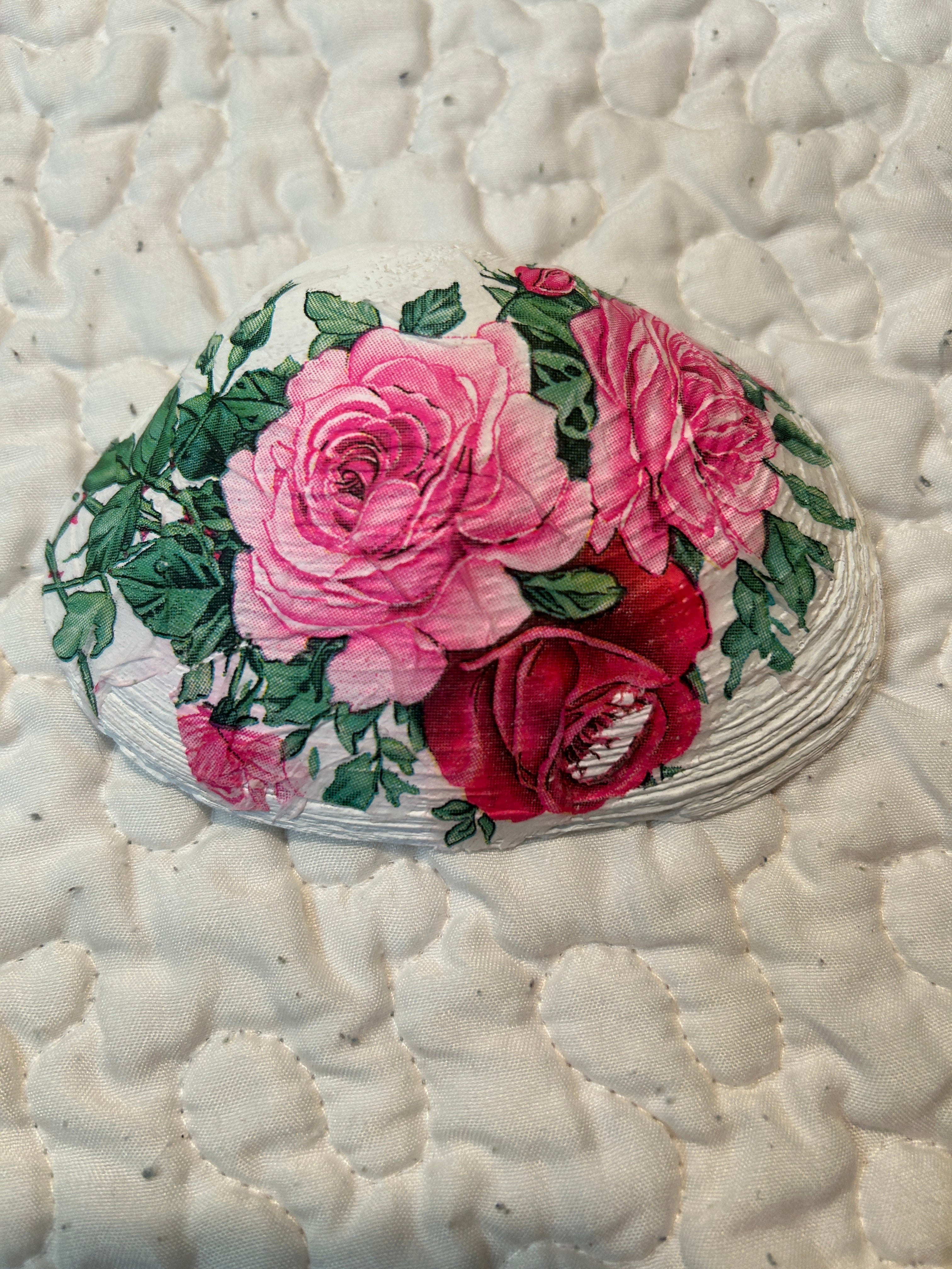 decorative shells