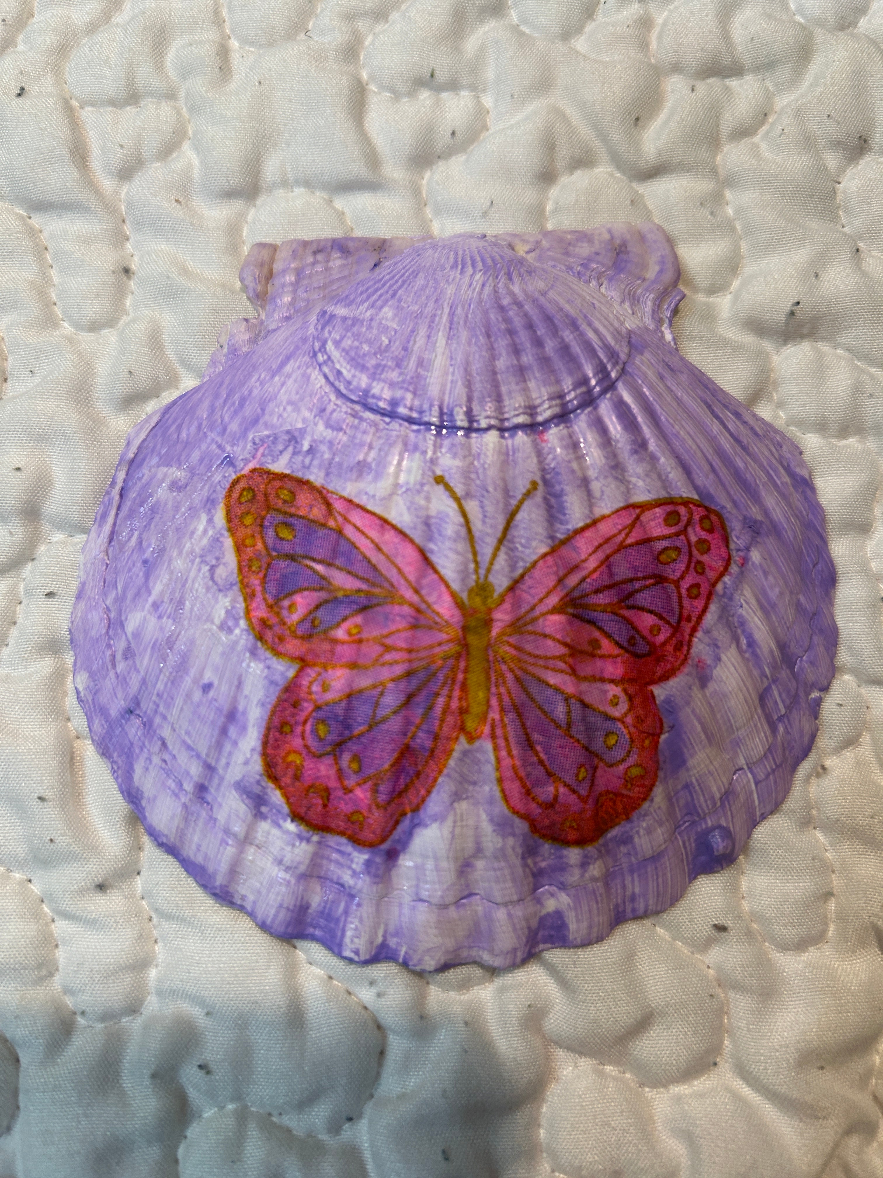 decorative shells