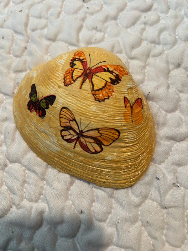 decorative shells