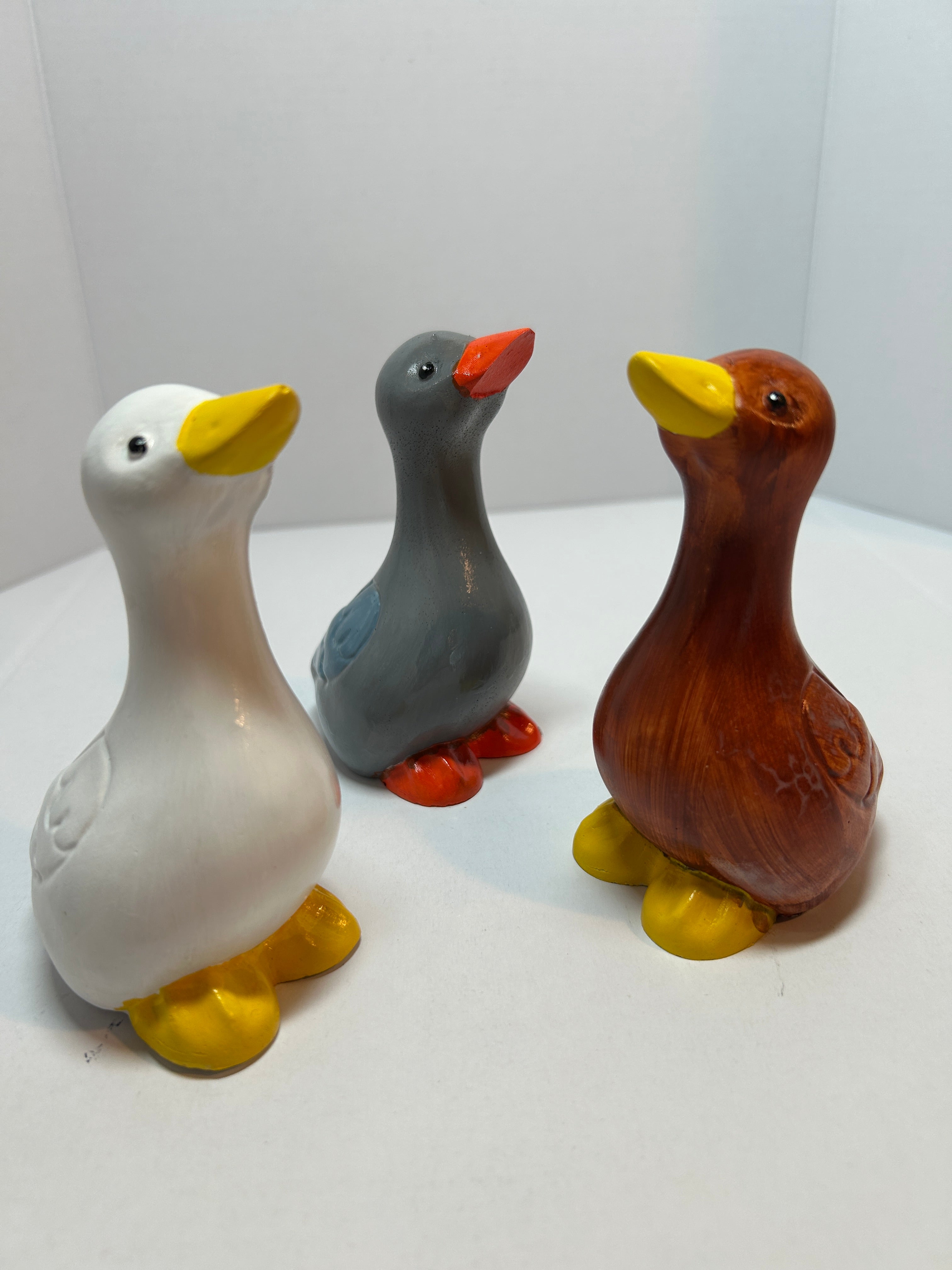 elegant geese