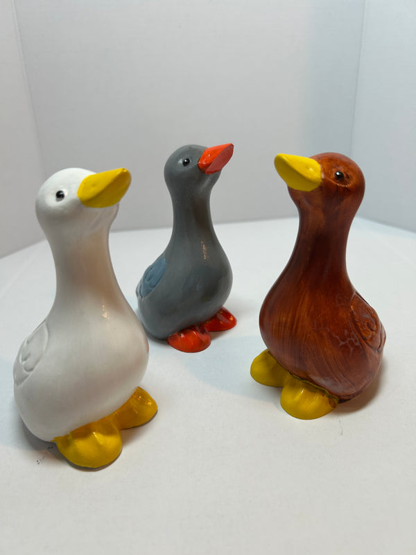 elegant geese
