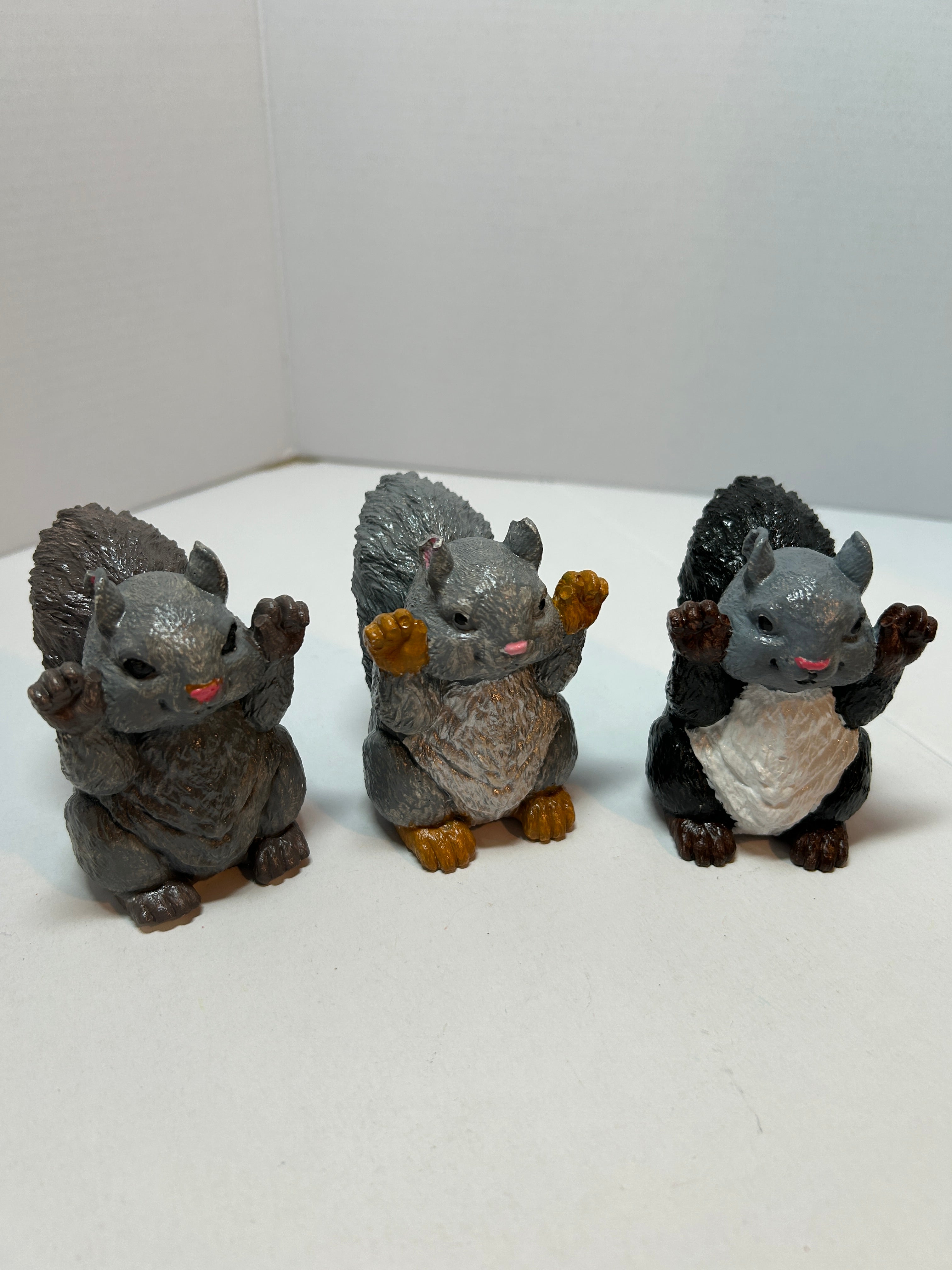Squirrel