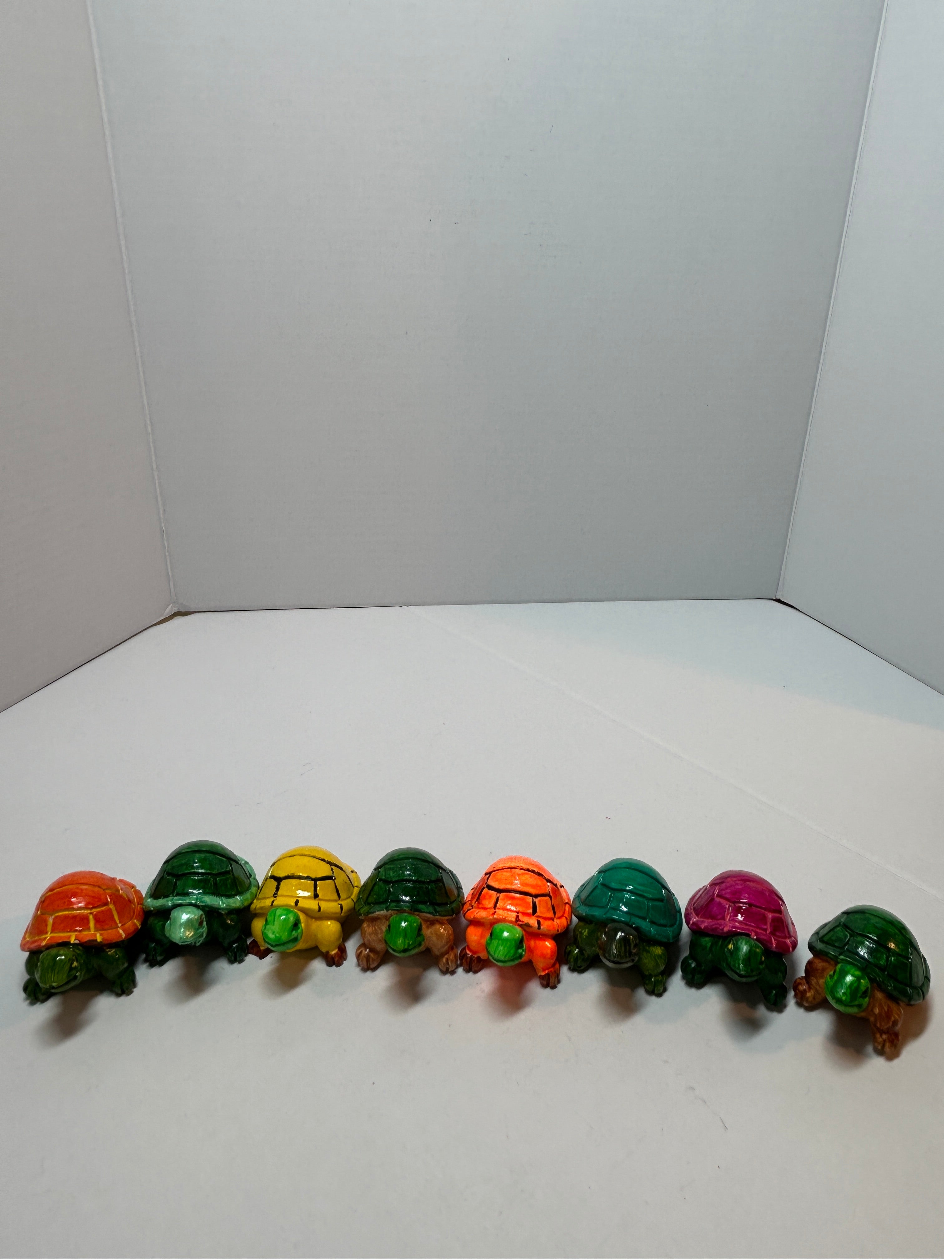 small turtle