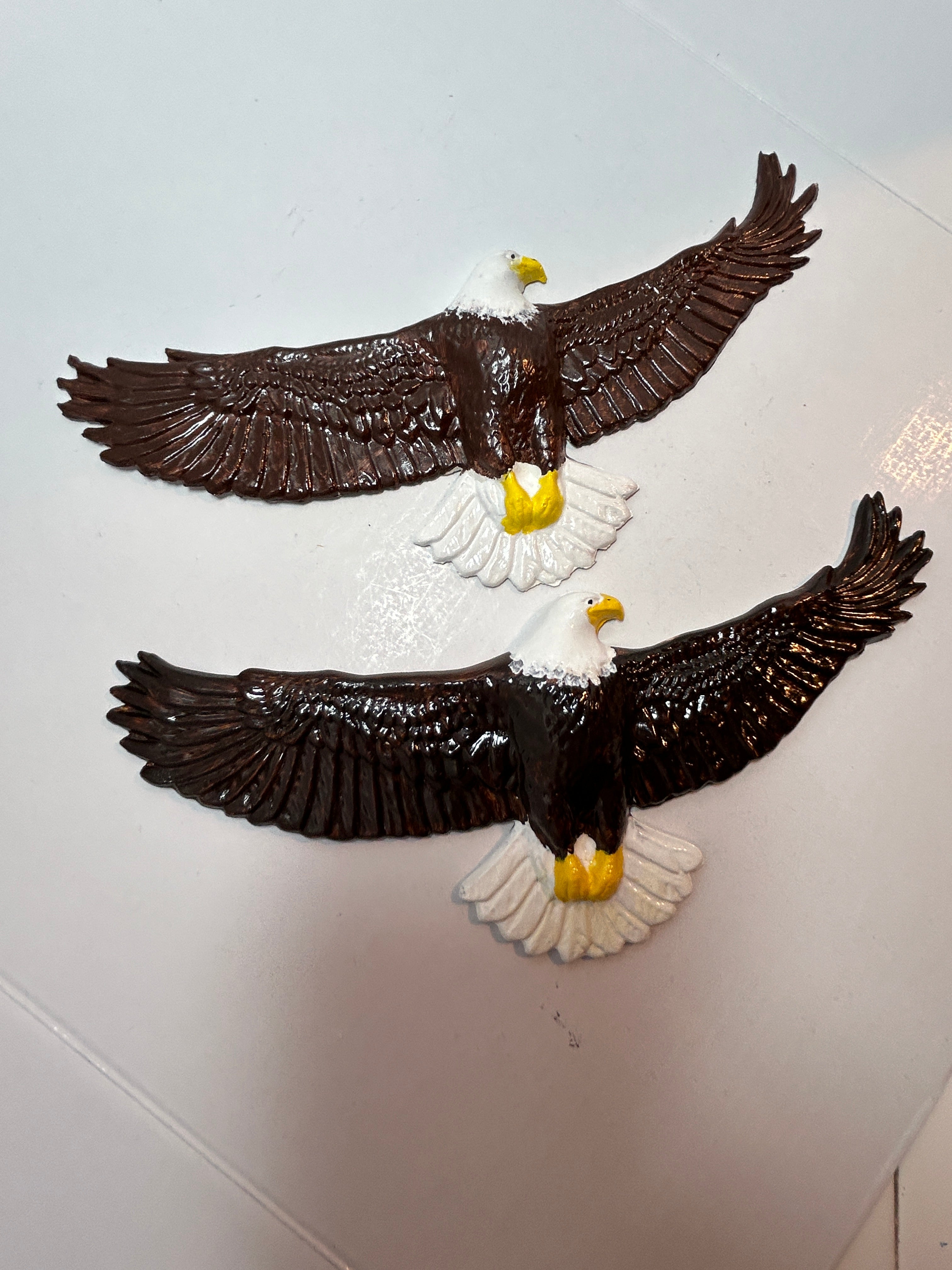 Hawks/eagle