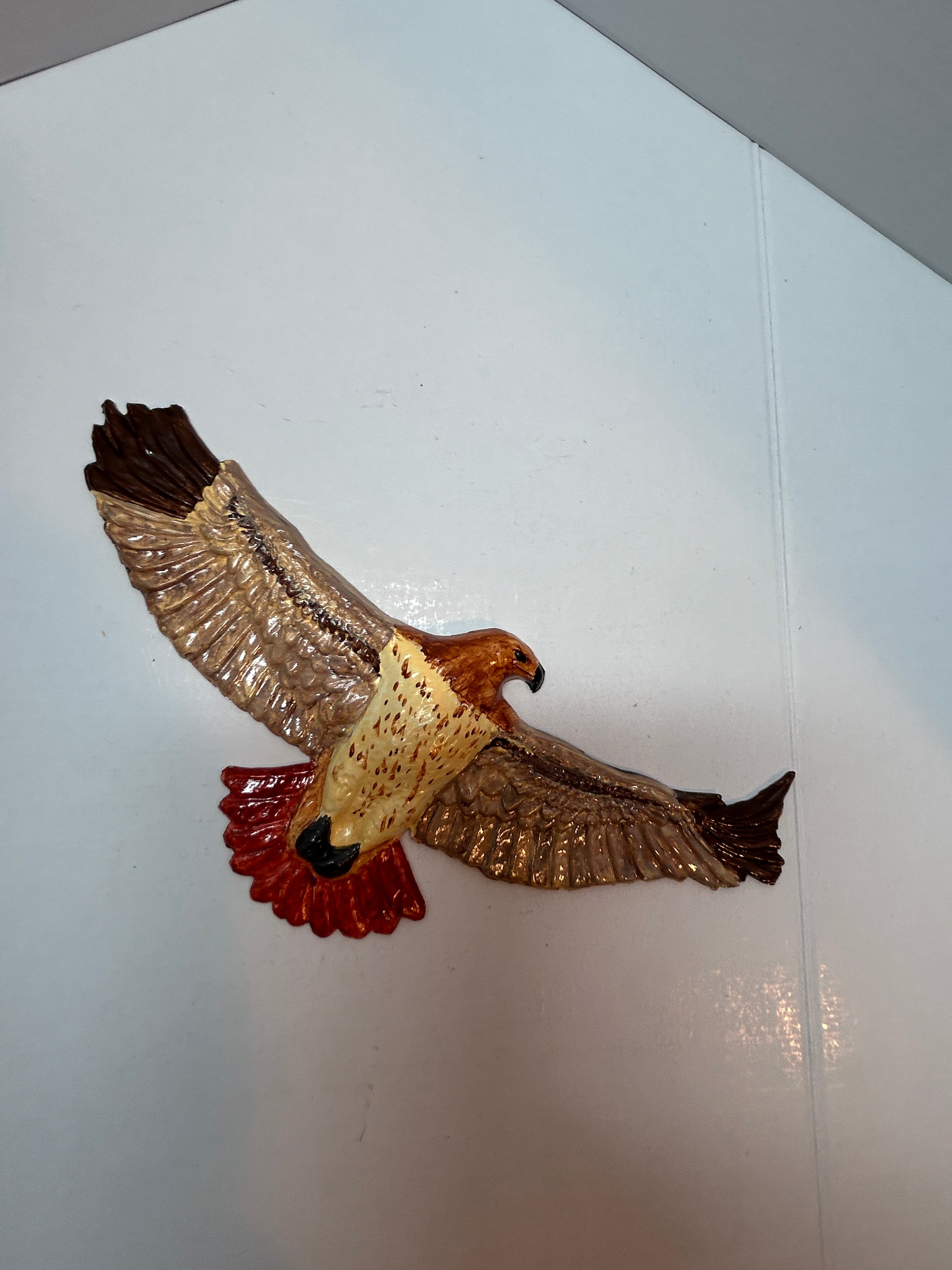 Hawks/eagle