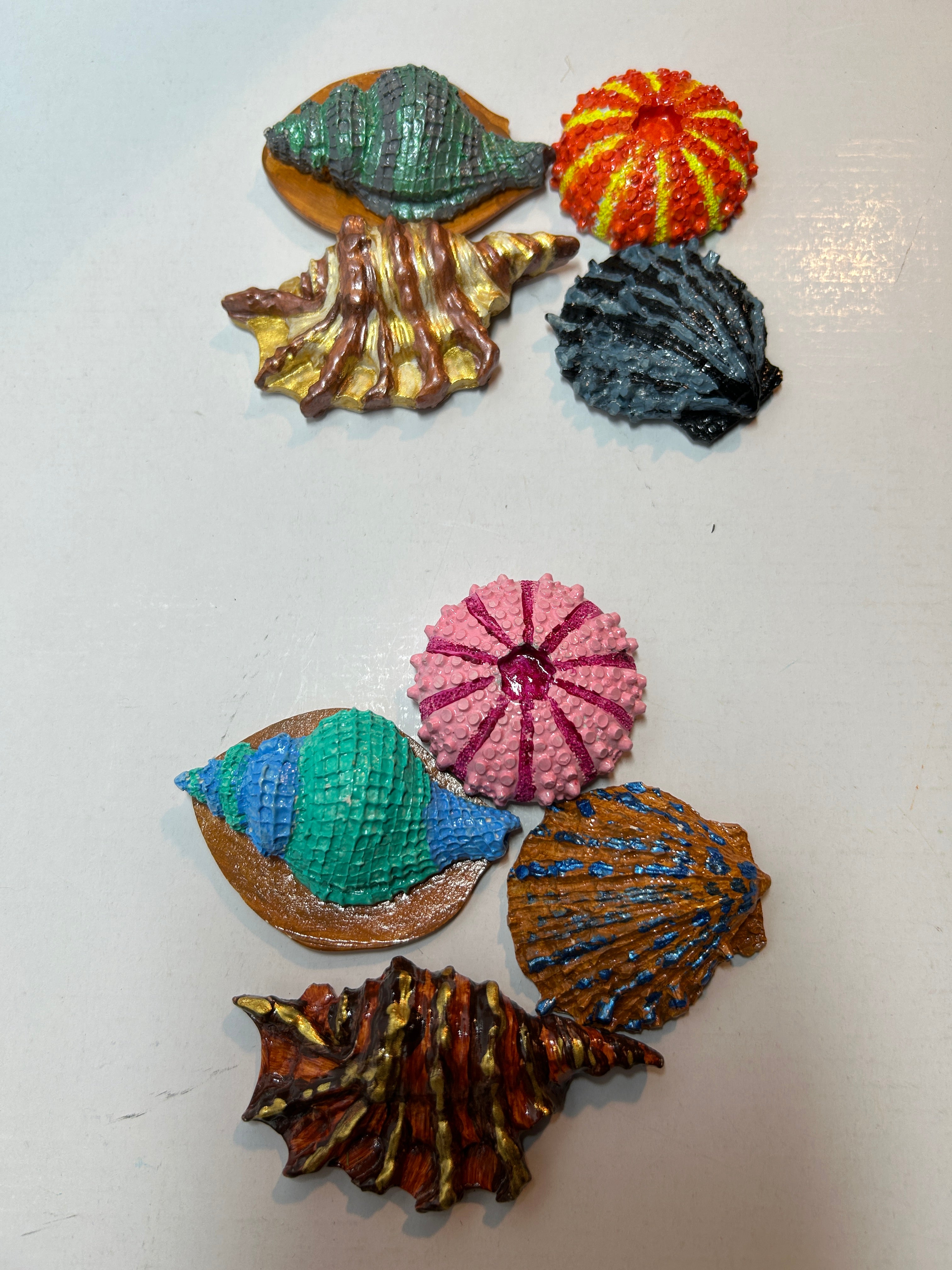 small shells  set of 4